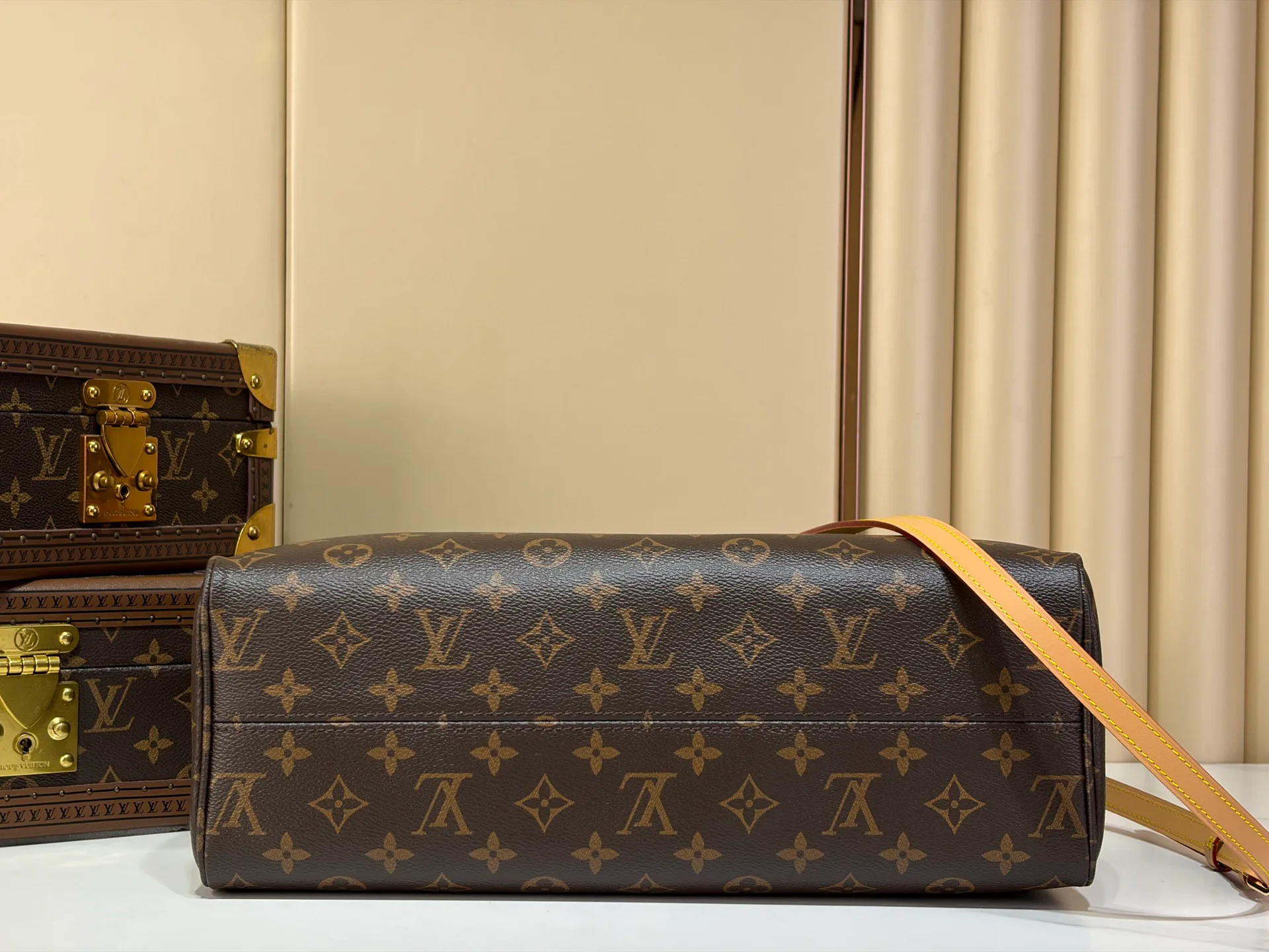 Women's Classic Handbags LOUIS VUITTON 19582559