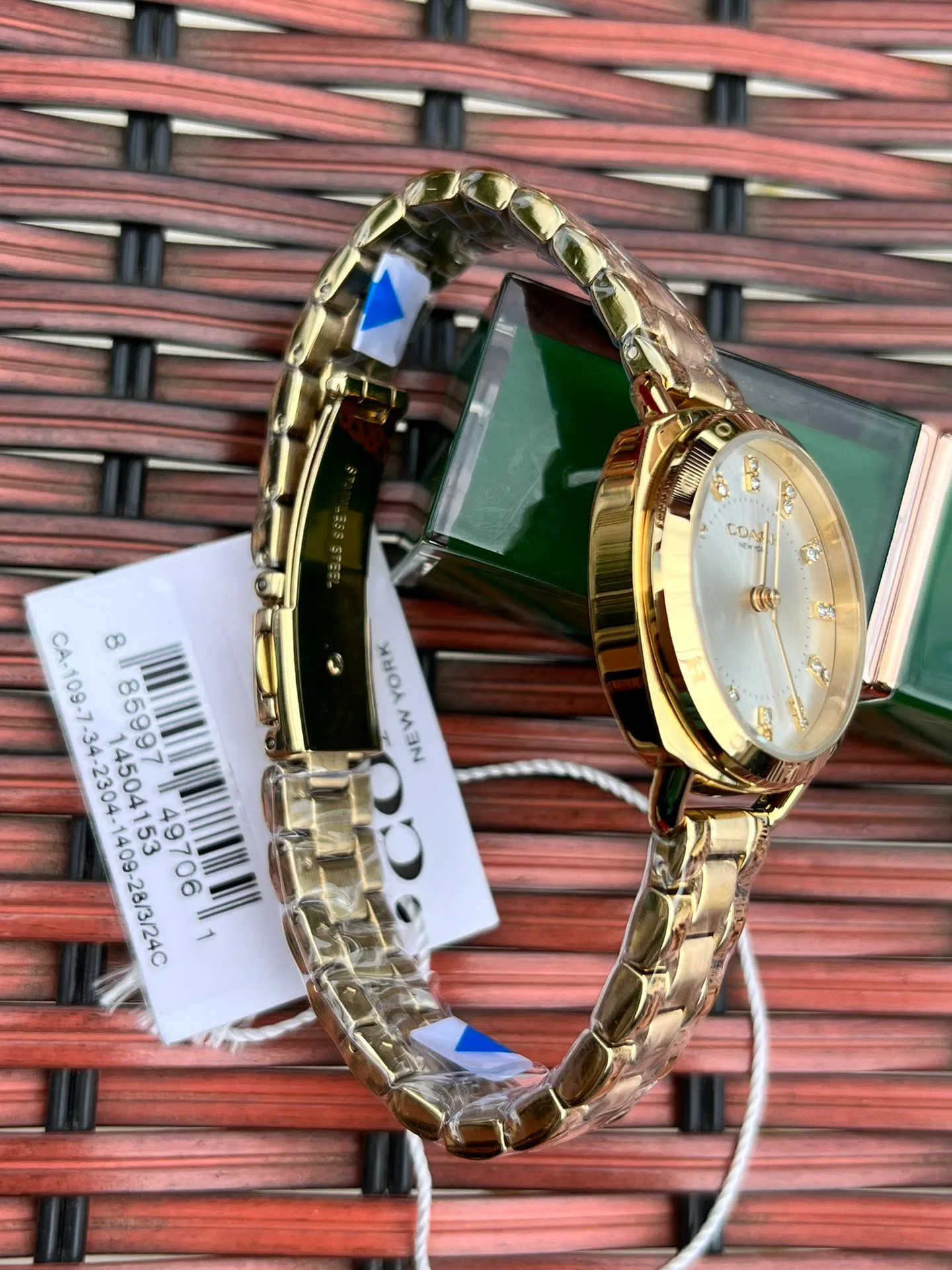 Women's Watches COACH 17873076