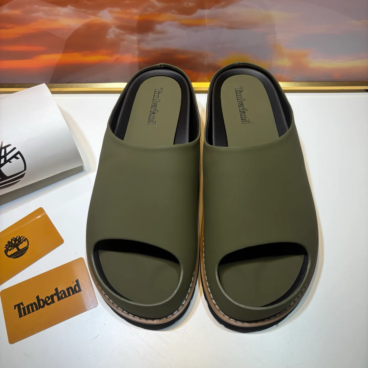 Men's Flip-Flops TIMBERLAND 17955630