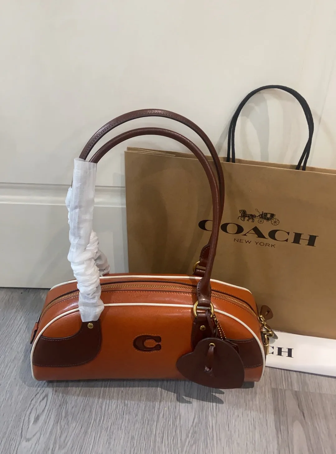 Women's Classic Handbags COACH 17246853