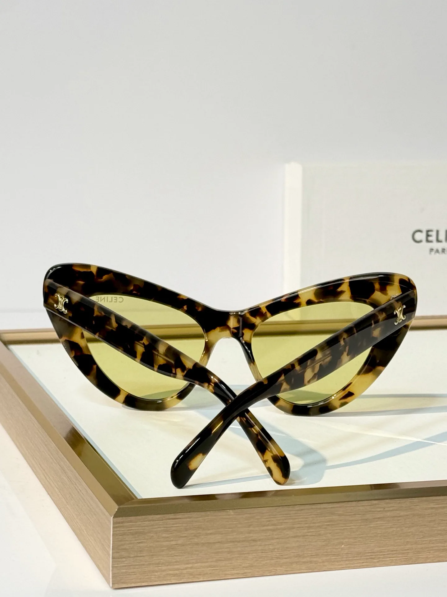 Очки Celine 18602793