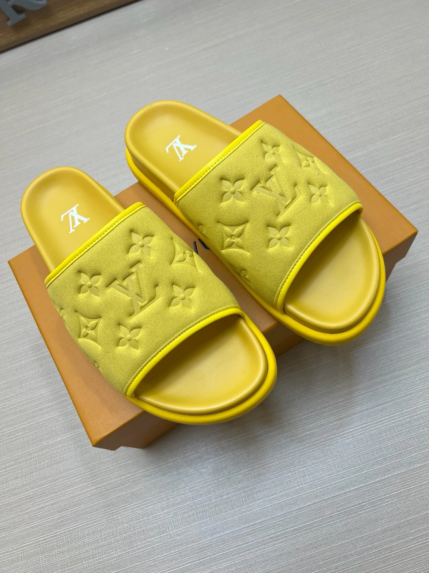 Women's Flip-Flops LOUIS VUITTON 18011810