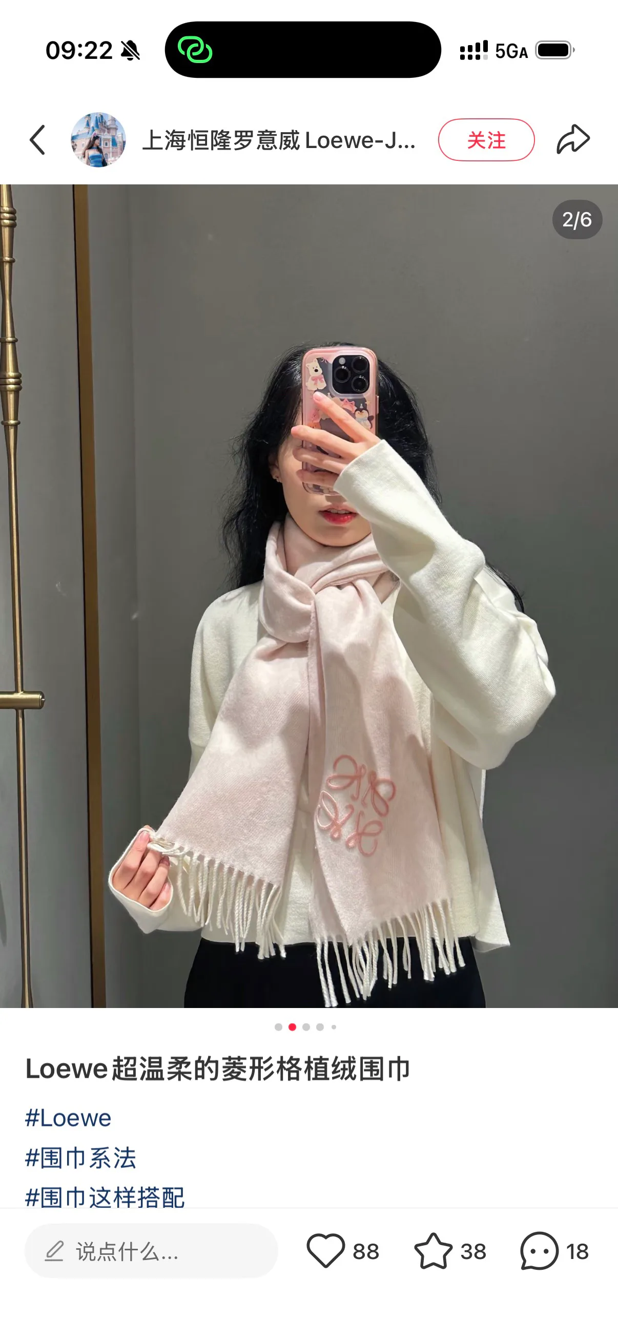 Scarves LOEWE 18141126