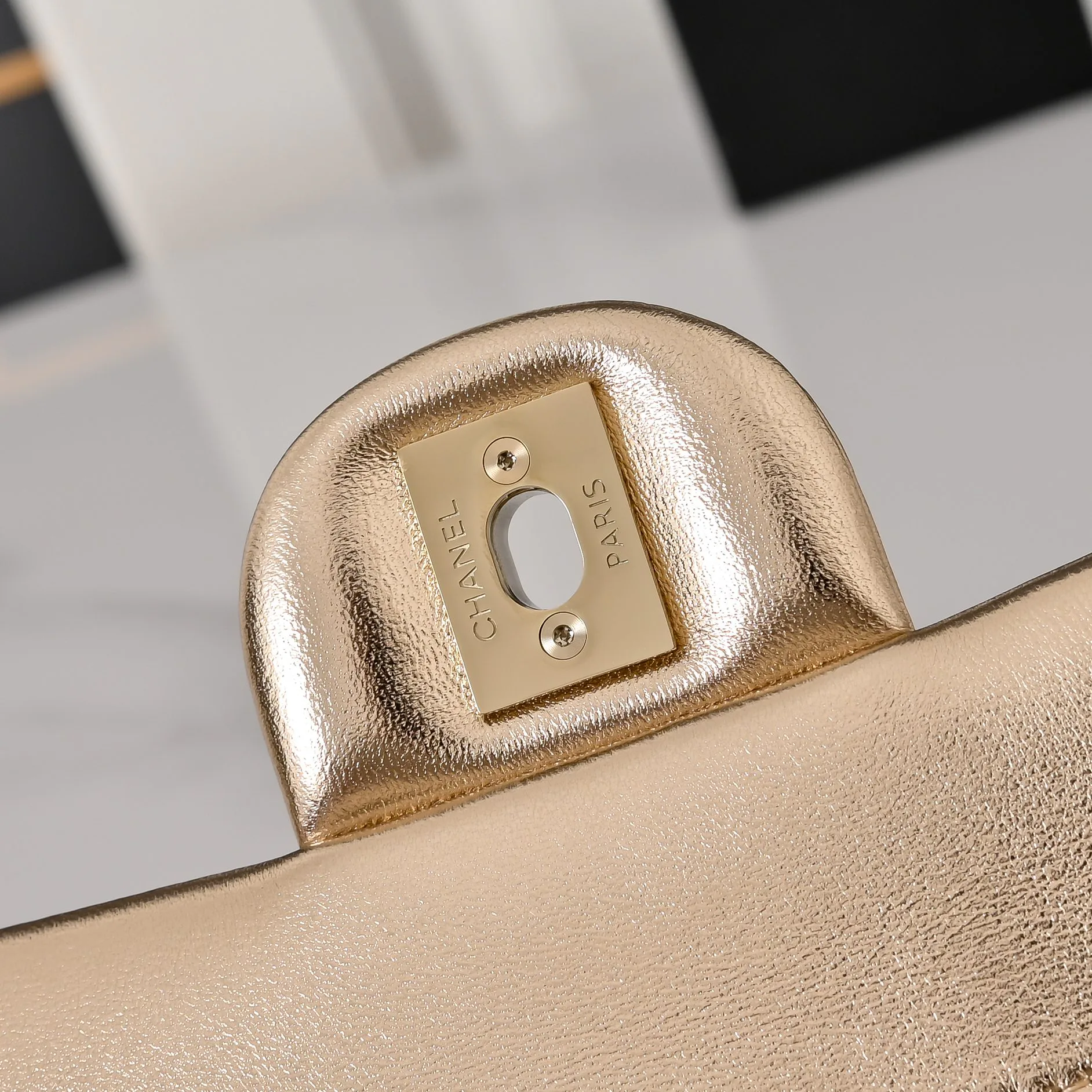 Women's Classic Handbags CHANEL 18307547