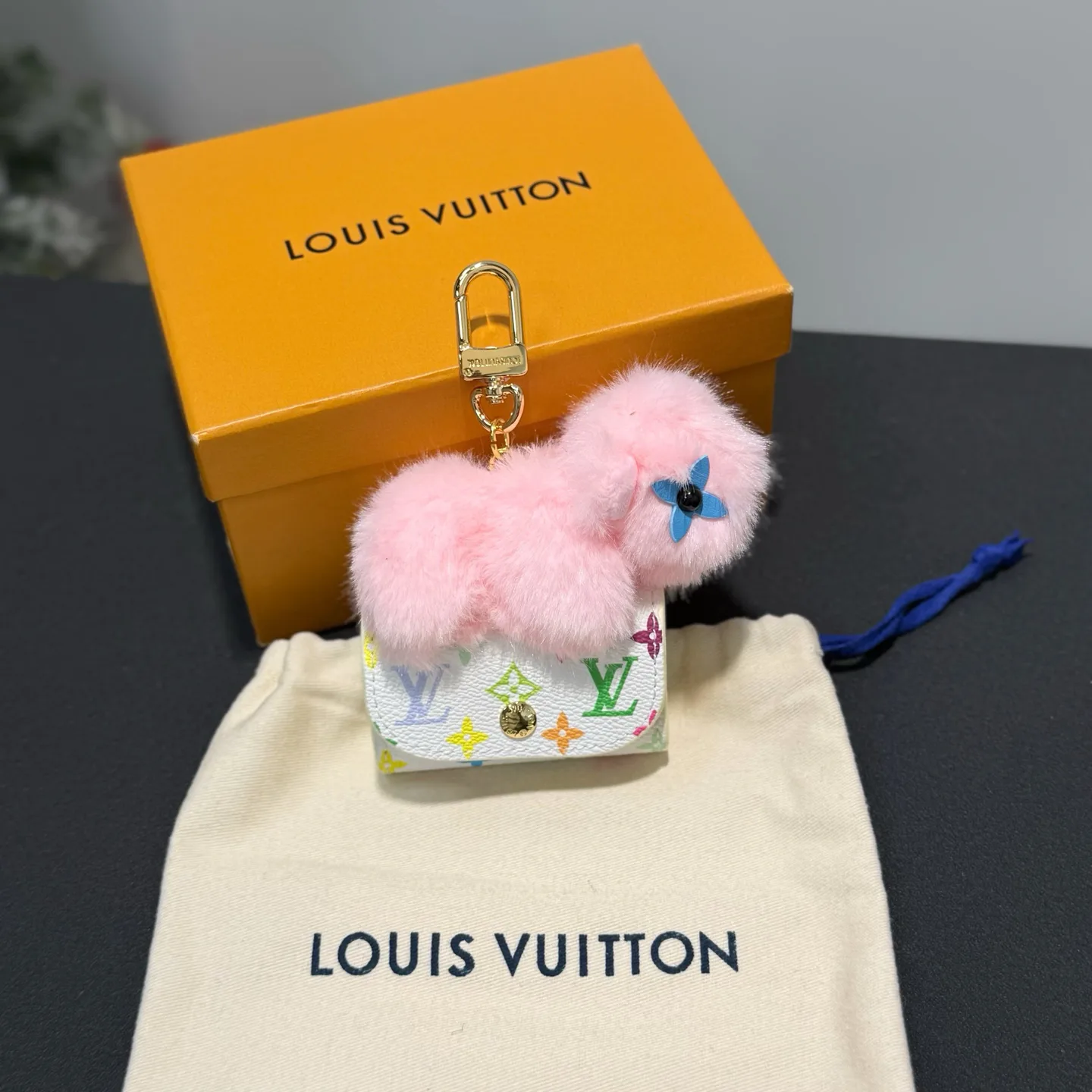 Key Cases LOUIS VUITTON 17886413