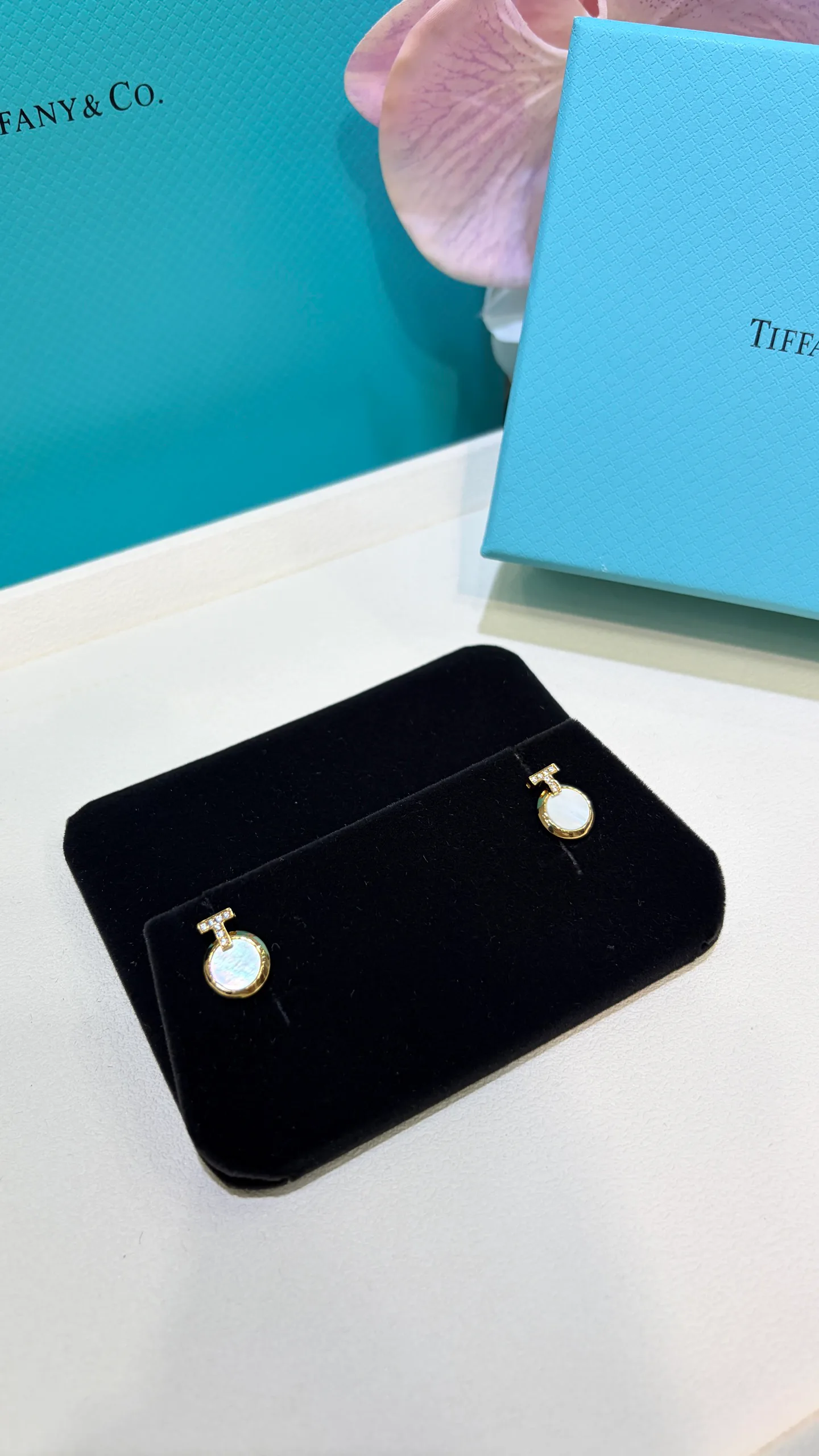 Jewelry TIFFANY 17880925
