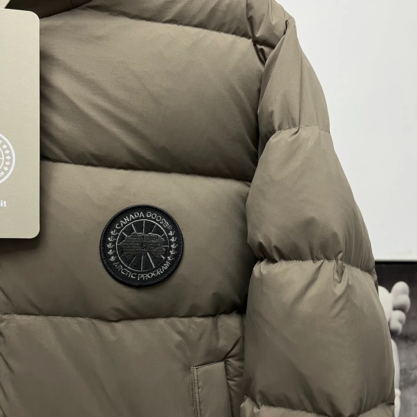 Men's Jackets And Down Jackets CANADA GOOSE 18289791
