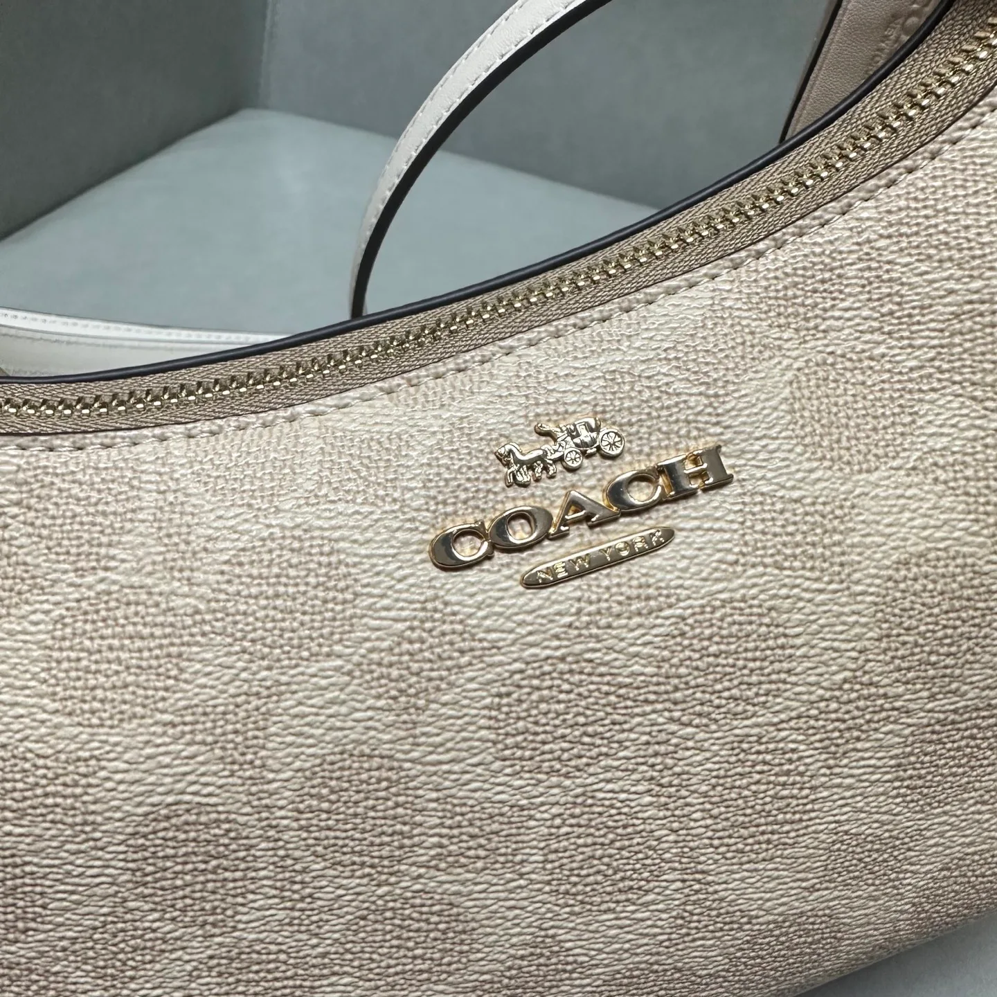 Women's Classic Handbags COACH 17961033