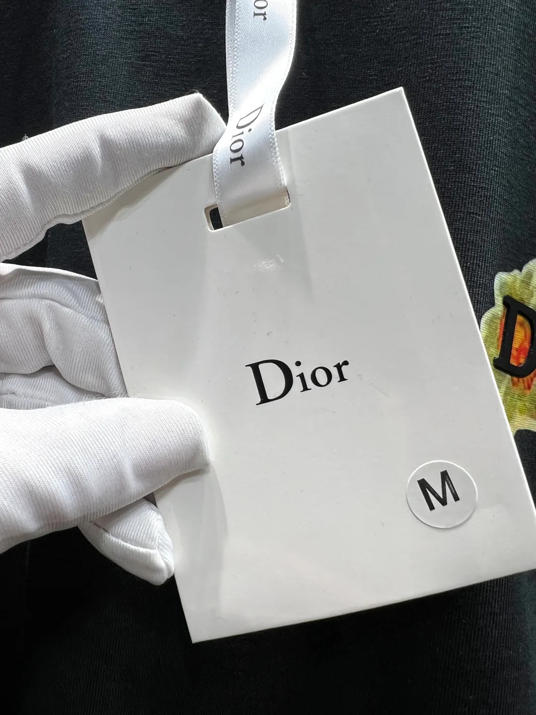Футболки Мужские Christian Dior 18599376