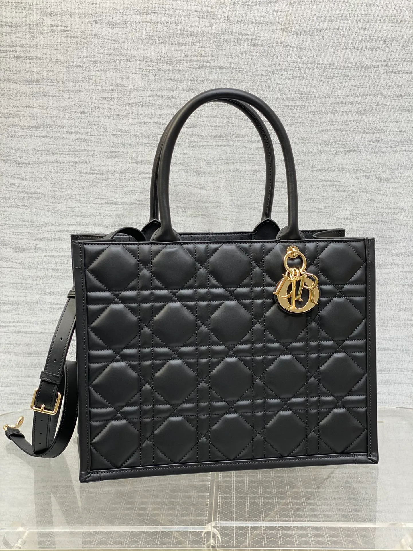 Women's Classic Handbags CHRISTIAN DIOR 17601396