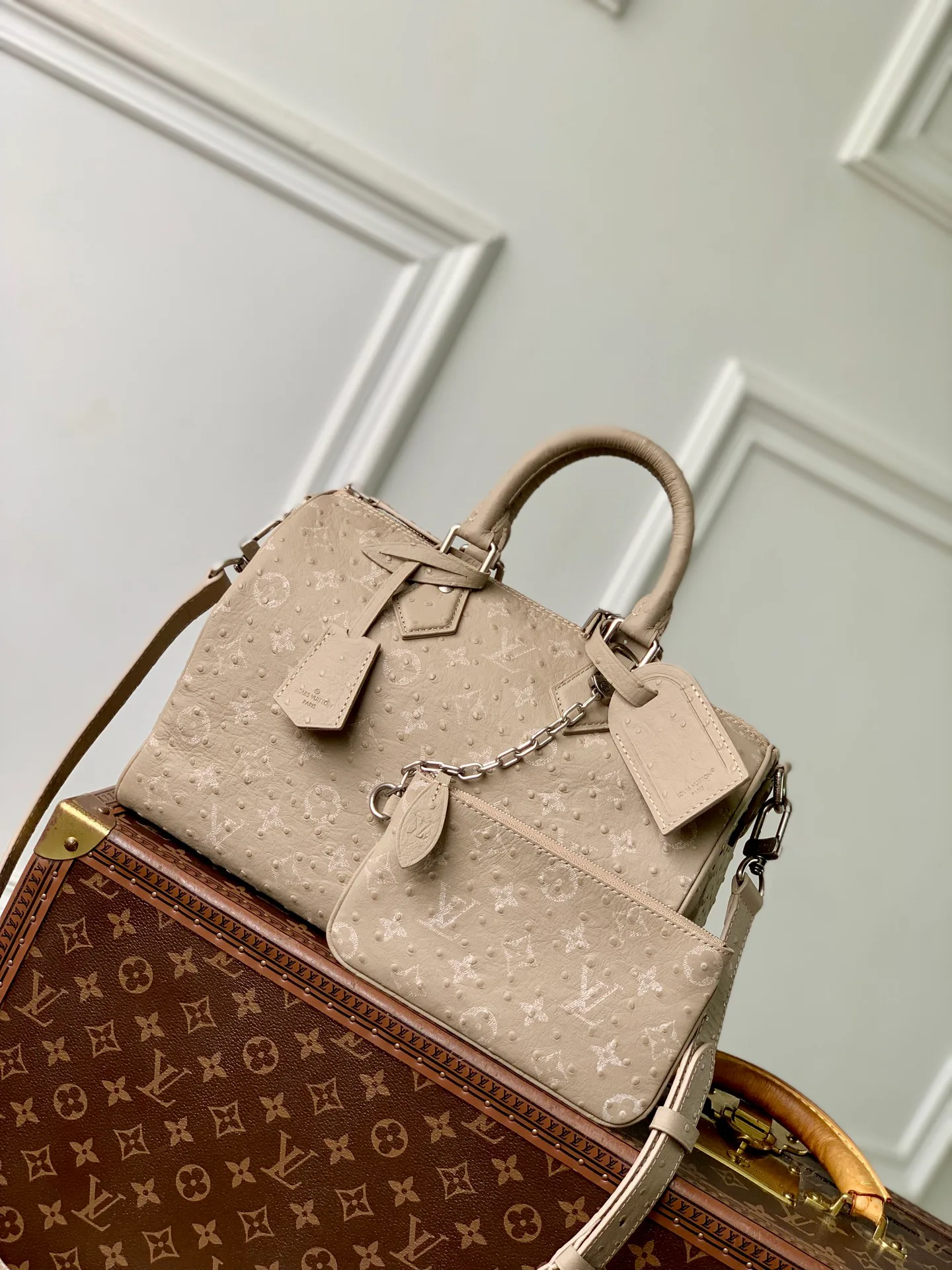 Women's Classic Handbags LOUIS VUITTON 18147441