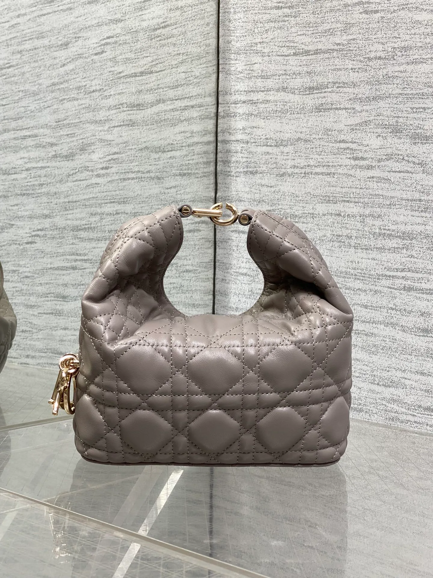 Women's Classic Handbags CHRISTIAN DIOR 18242102