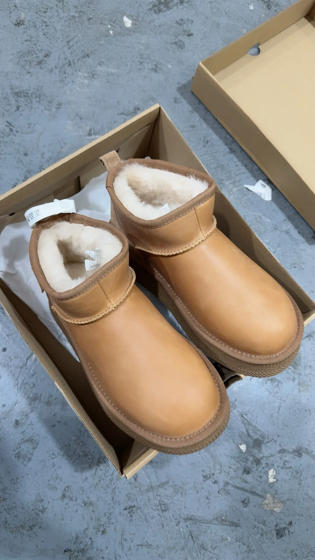 Women's Ugg Boots UGG 17867713