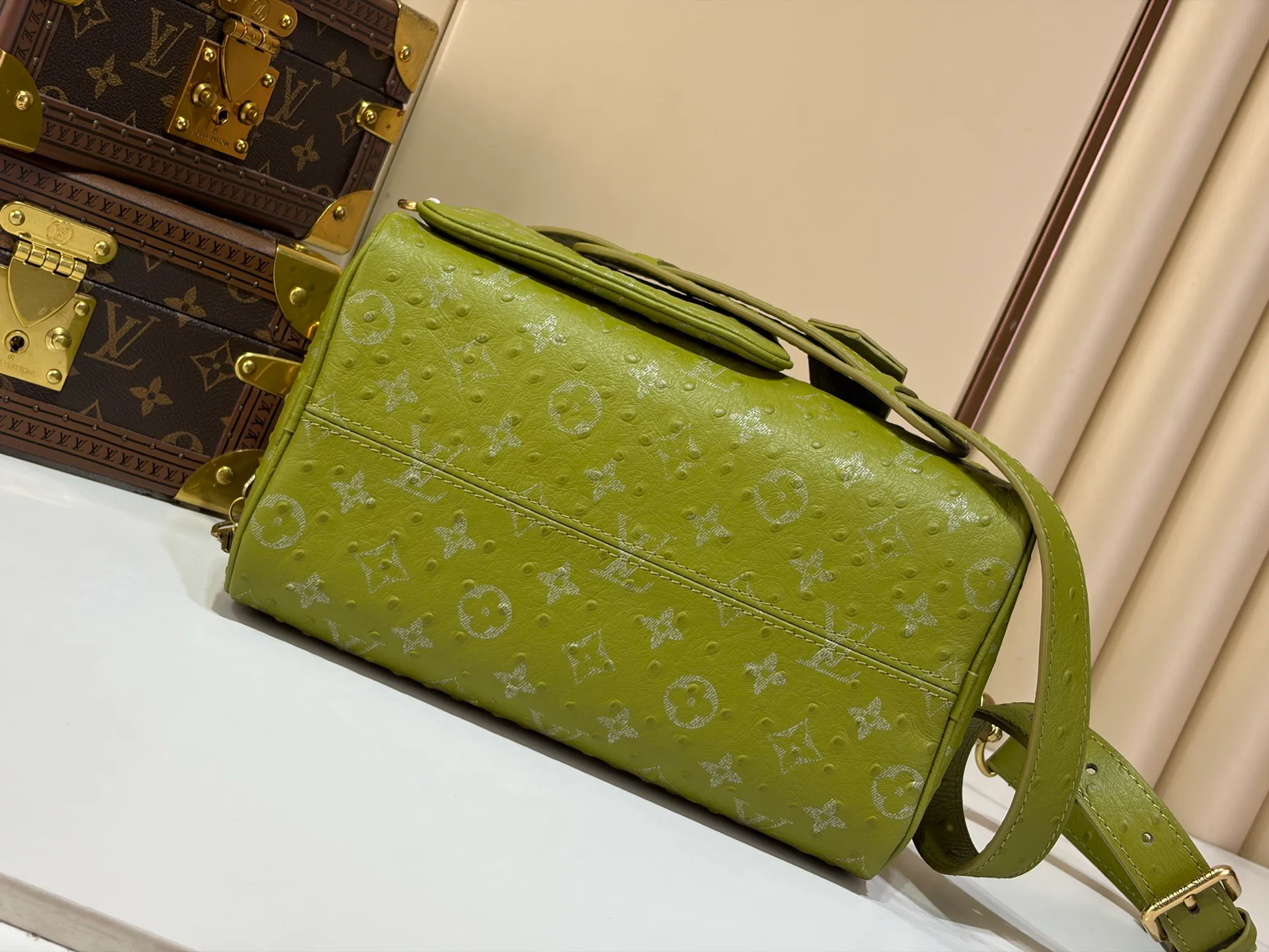 Women's Classic Handbags LOUIS VUITTON 19582568