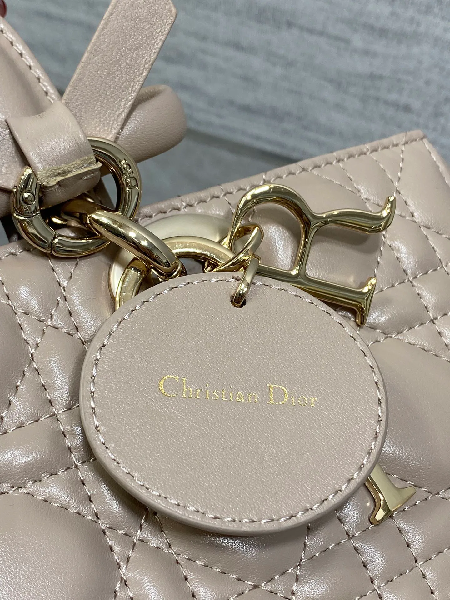 Women's Classic Handbags CHRISTIAN DIOR 18392910