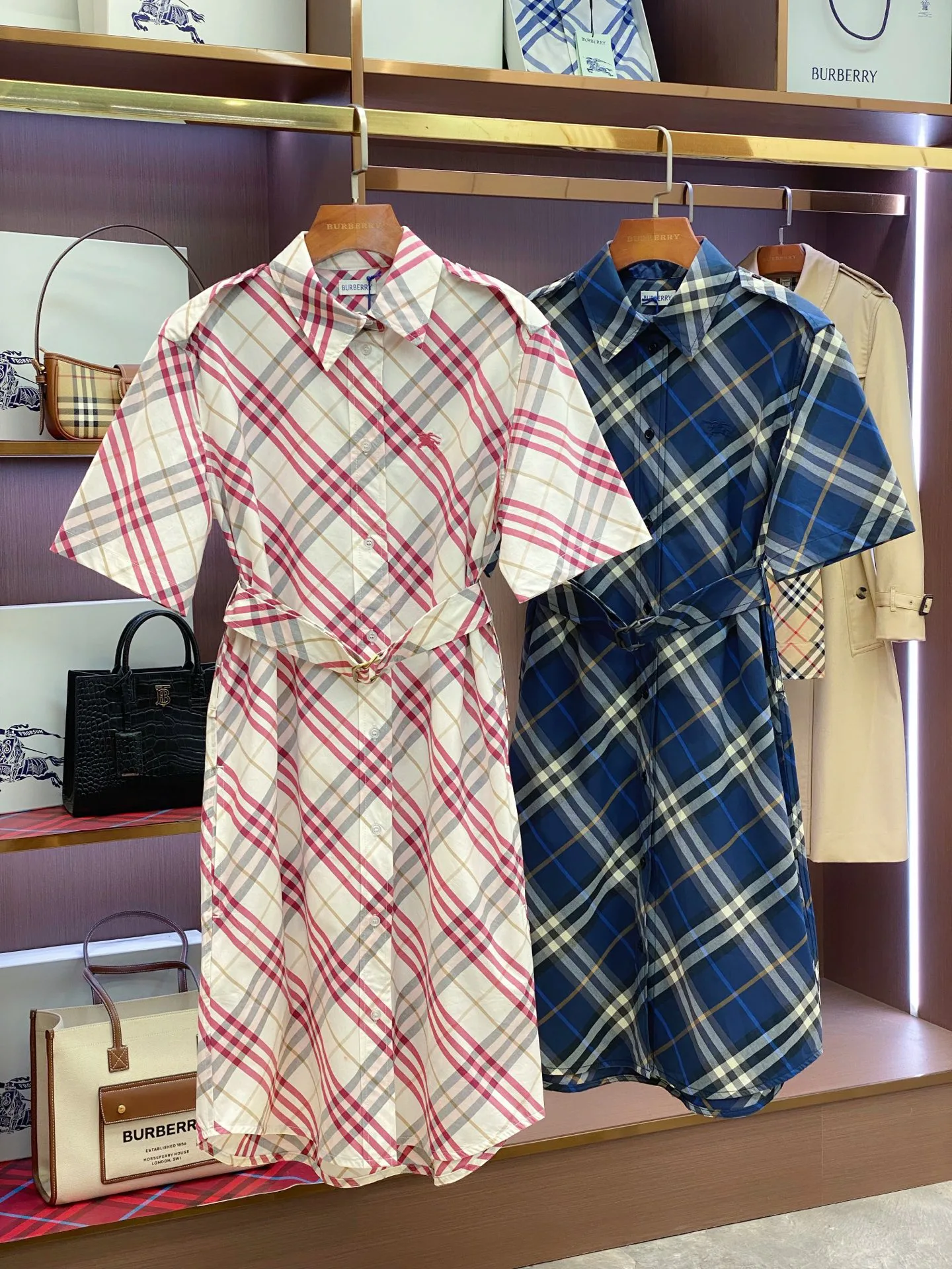 Women's Dresses BURBERRY 17361070