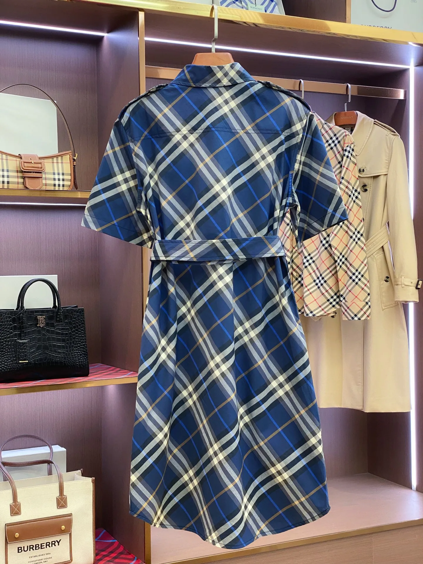 Women's Dresses BURBERRY 17361070