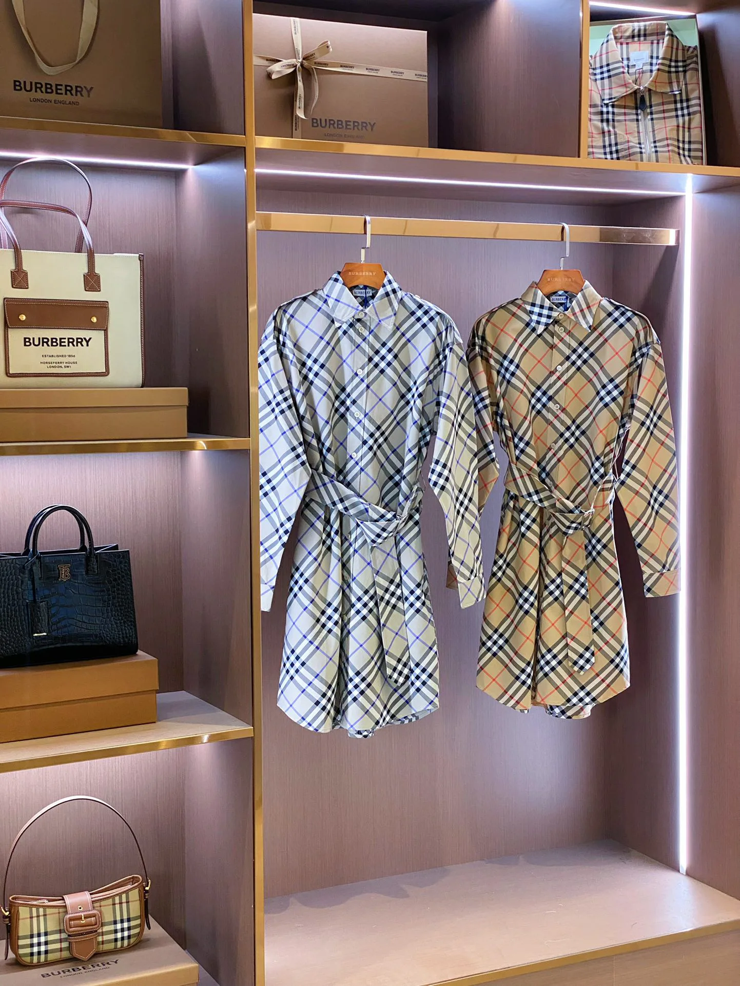 Women's Dresses BURBERRY 17361109
