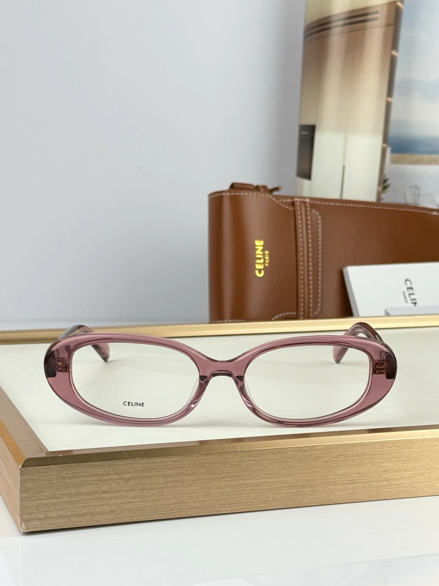 Glasses CELINE 17253105