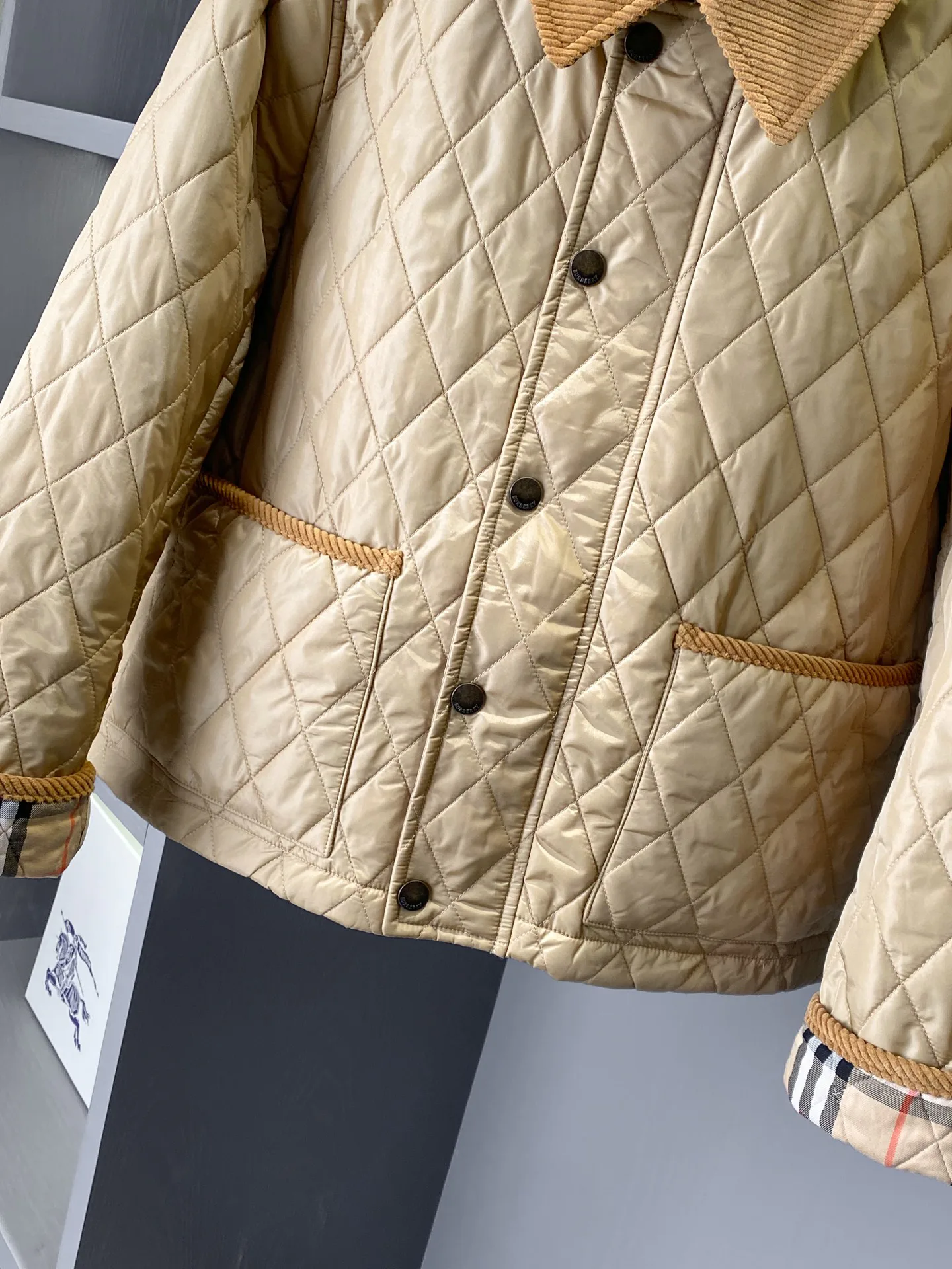 Women's Jackets And Down Jackets BURBERRY 18512999