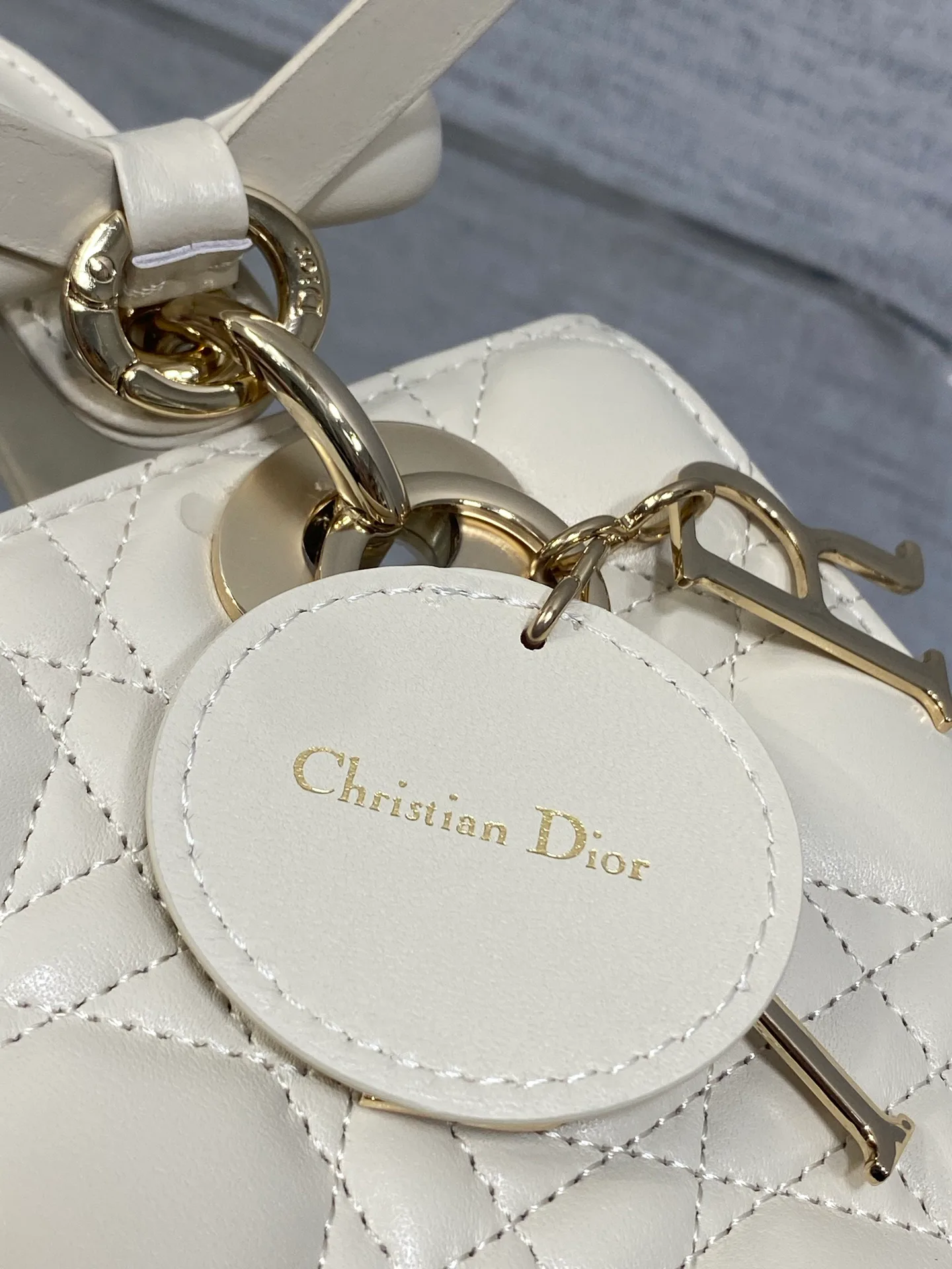 Women's Classic Handbags CHRISTIAN DIOR 17601471