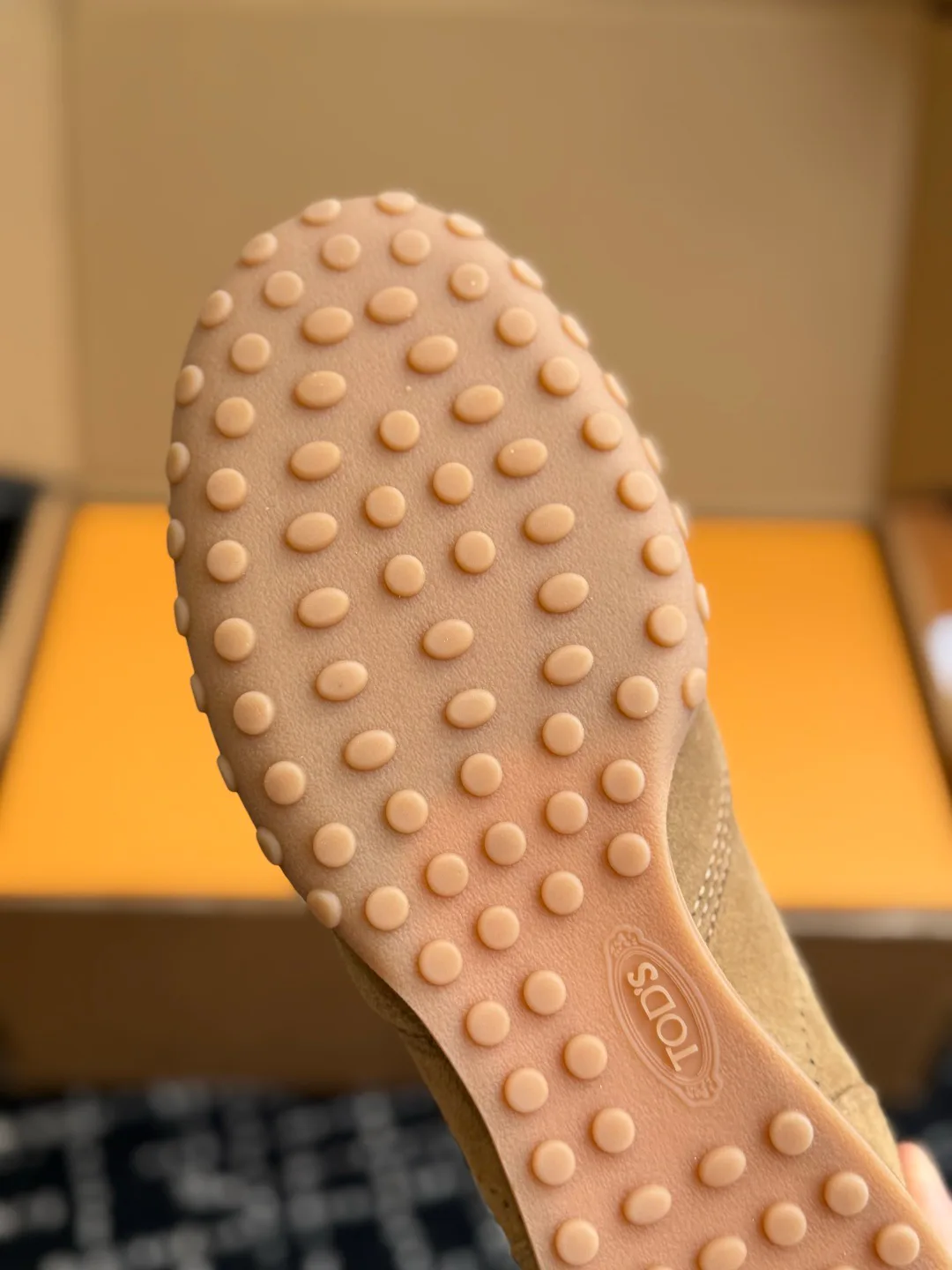 Women's Sneakers TOD'S 18409556