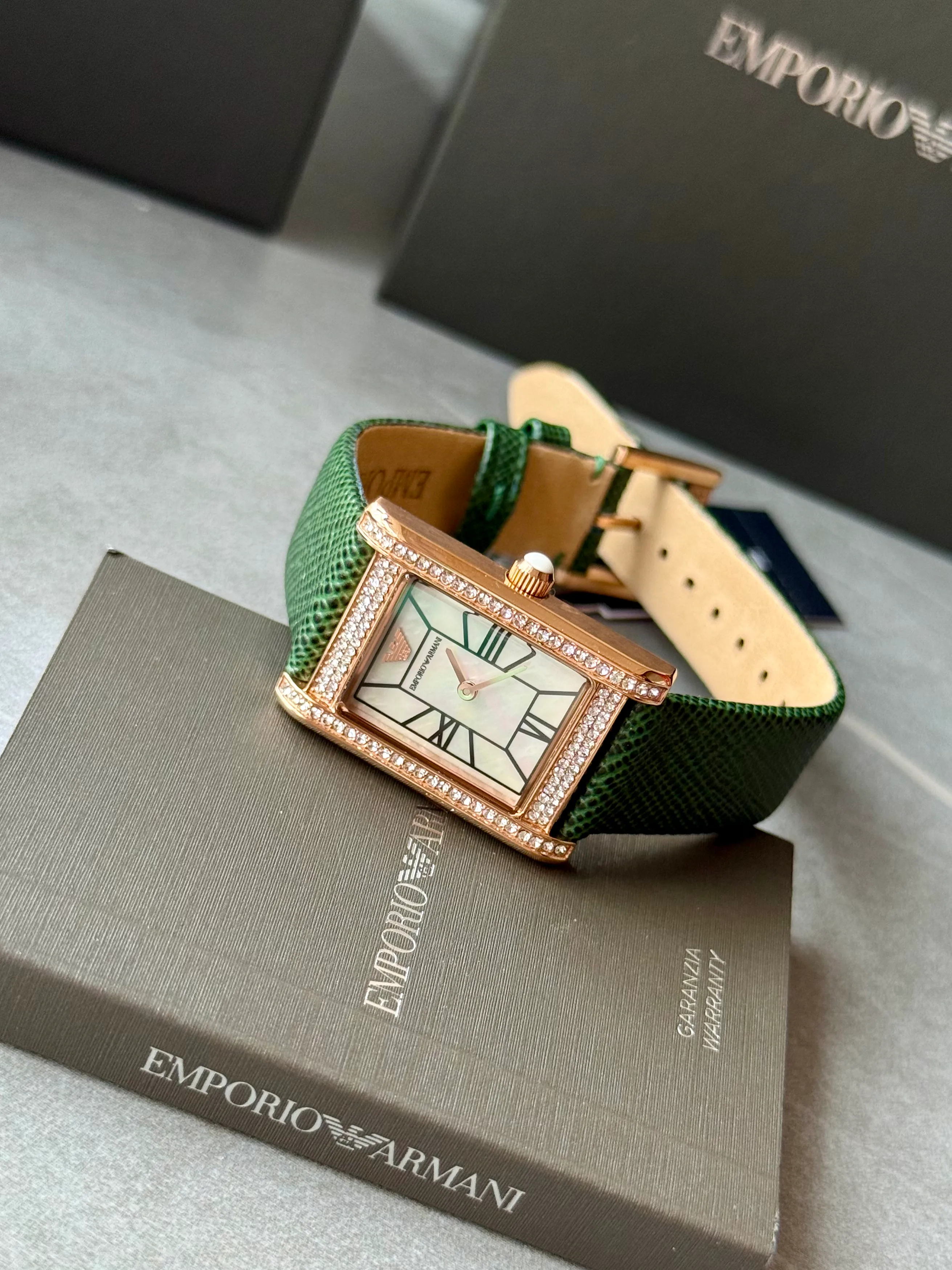 Women's Watches ARMANI 17087686
