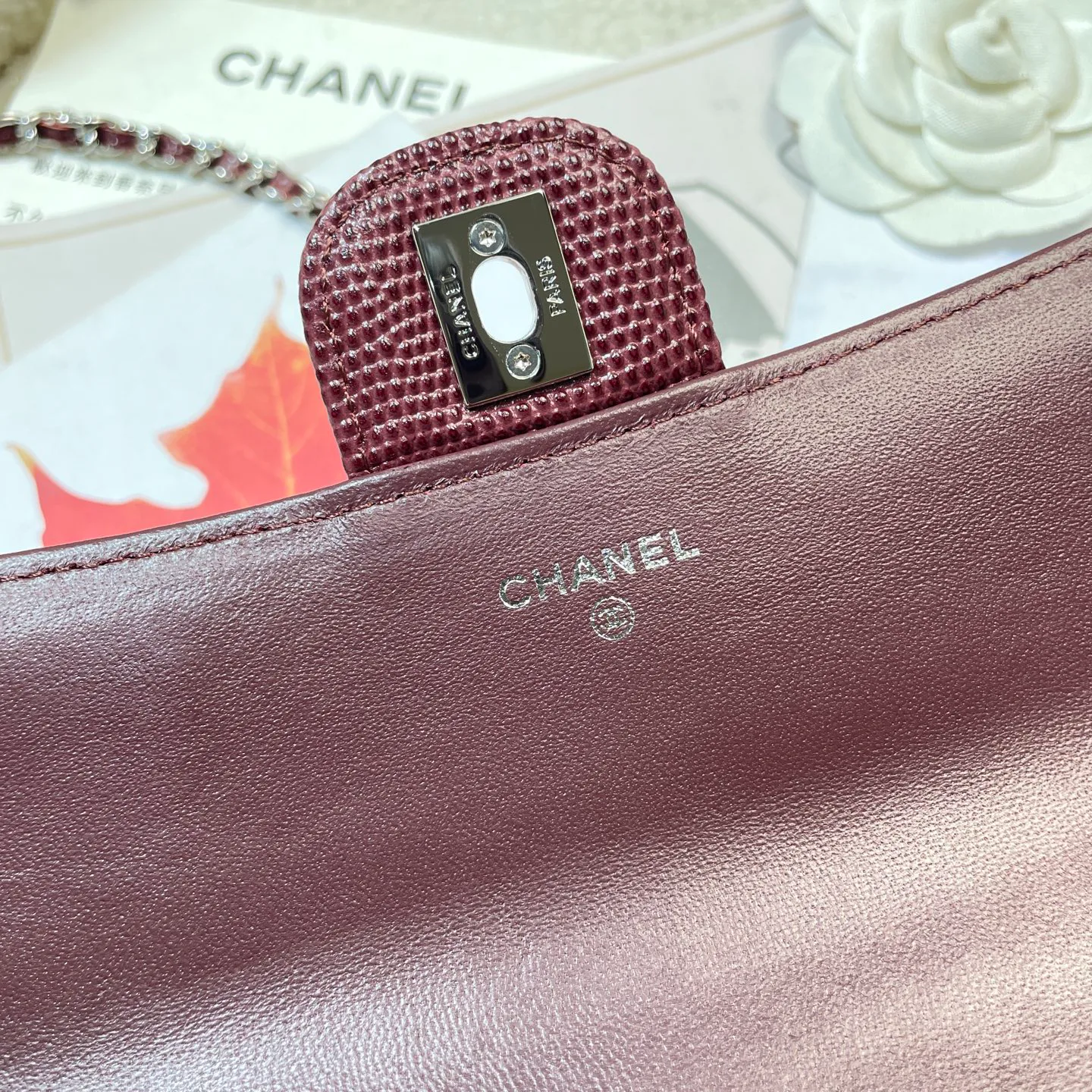 Women's Classic Handbags CHANEL 18000343