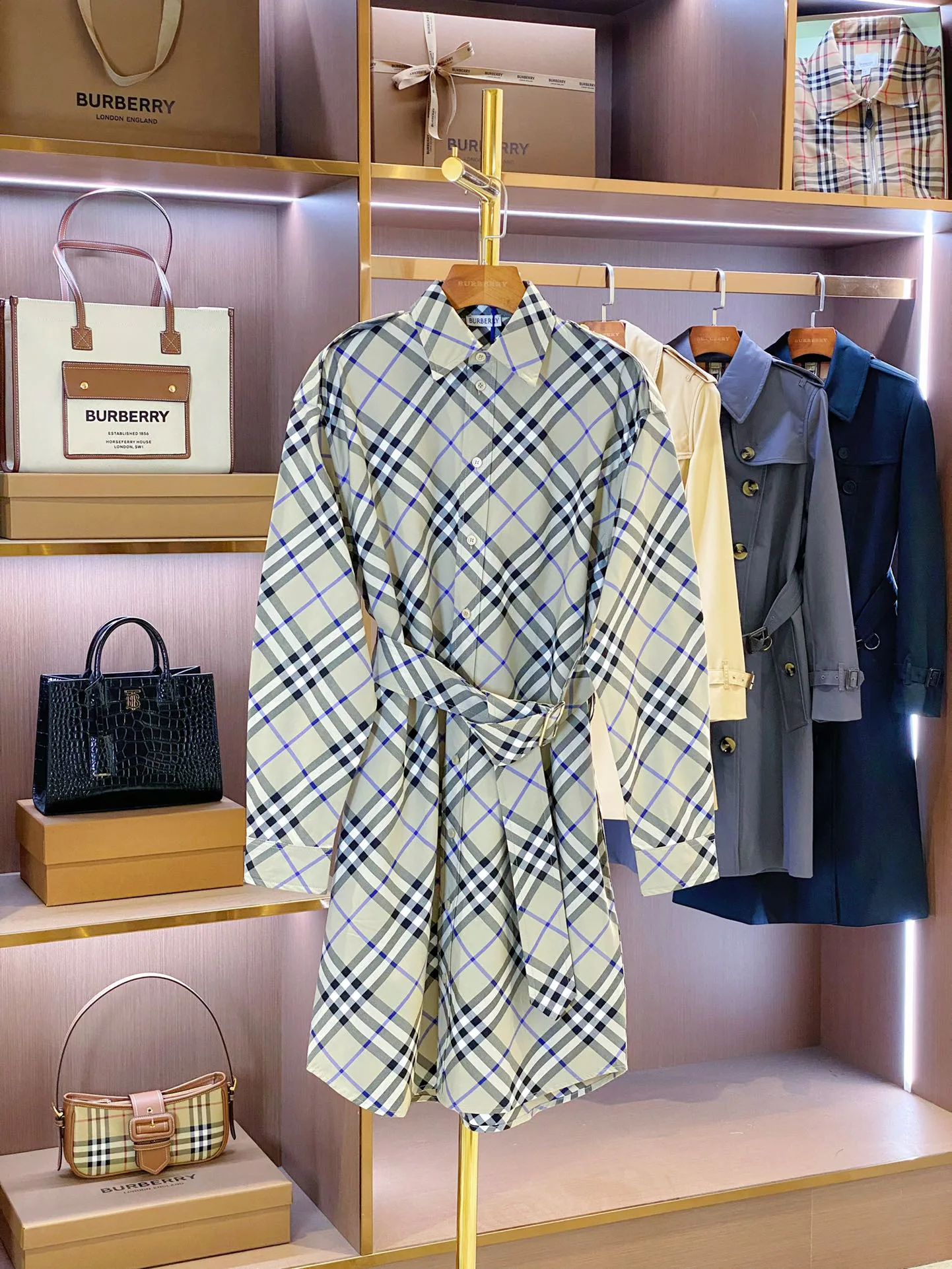 Women's Dresses BURBERRY 17361109