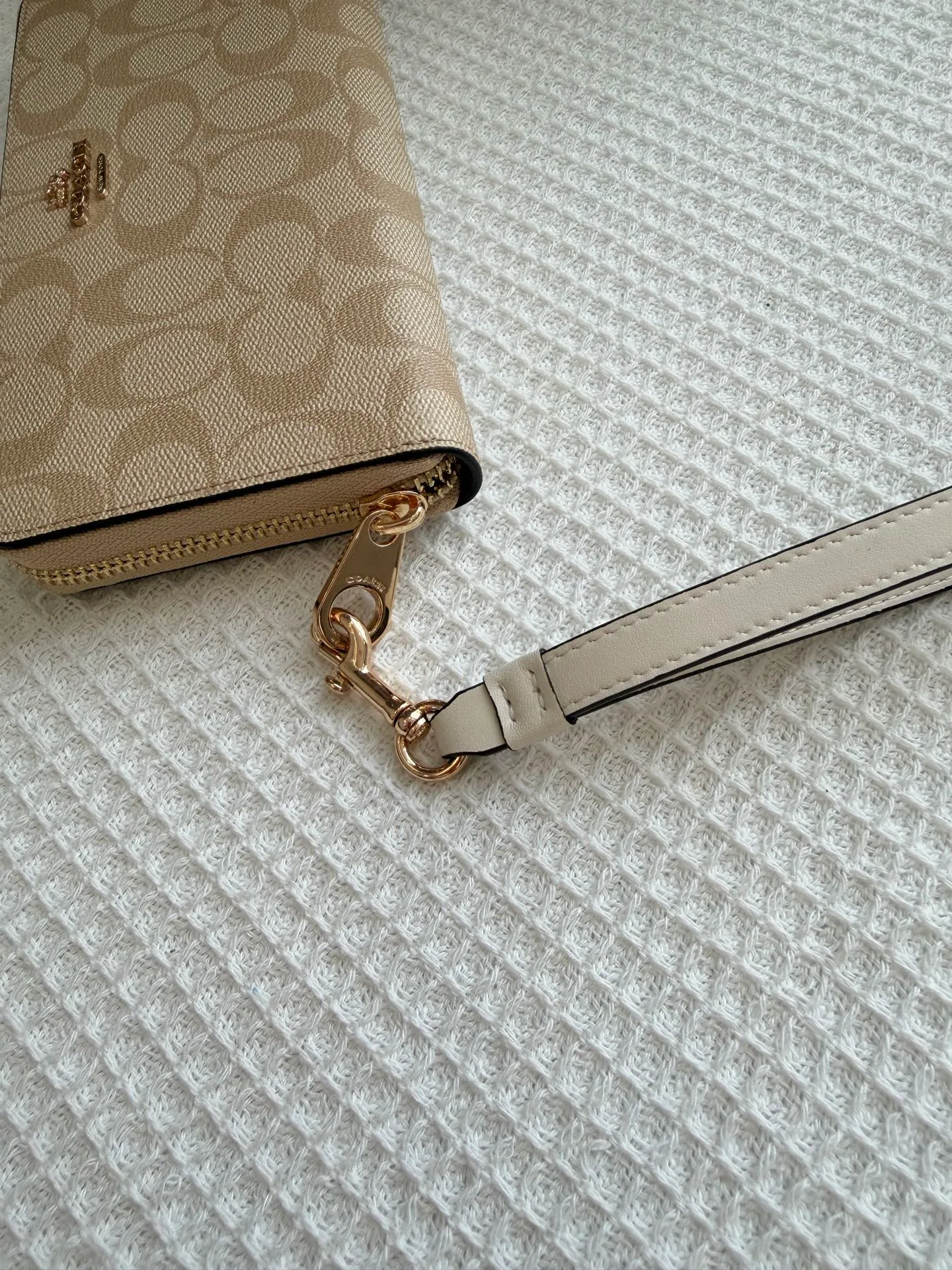 Women's Clutches COACH 18364956
