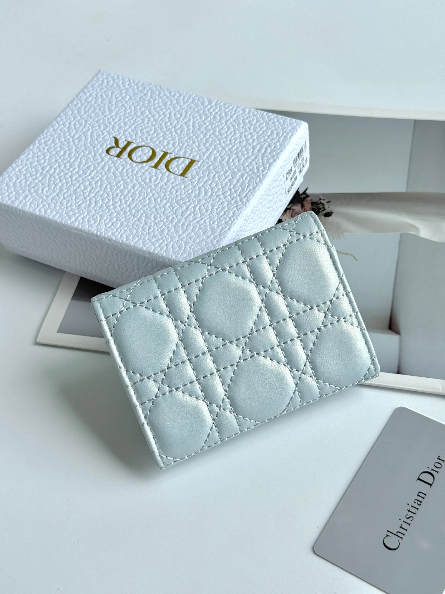 Women's Clutches CHRISTIAN DIOR 17447409