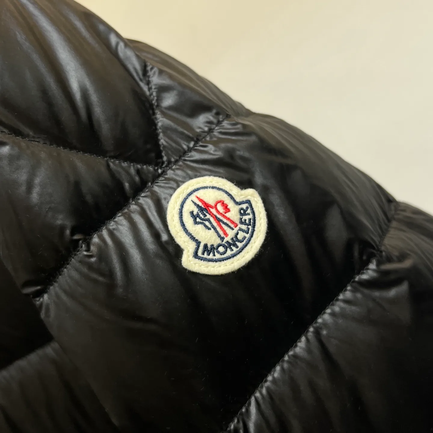 Women's Jackets And Down Jackets MONCLER 18048015