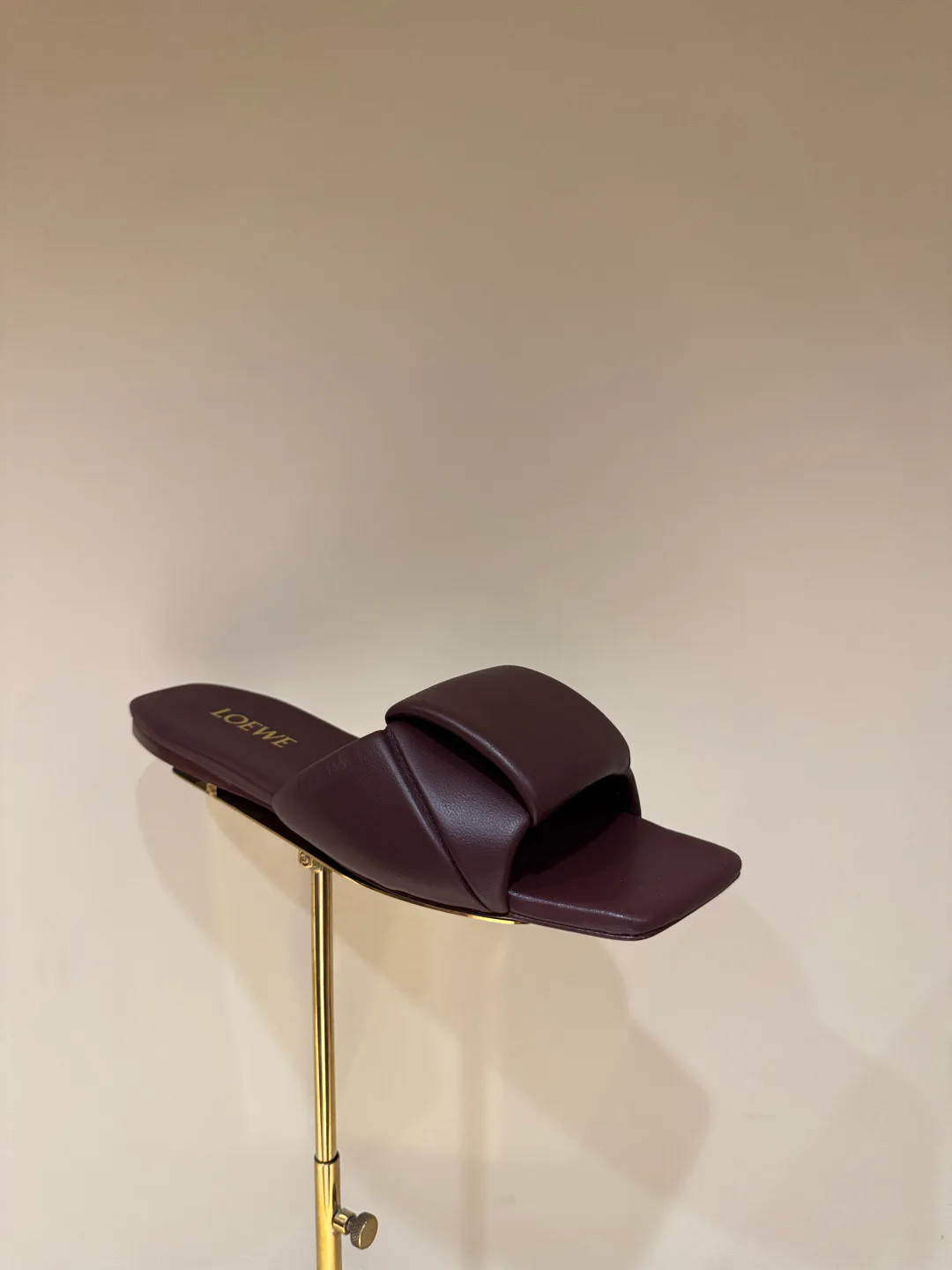 Women's Mules And Clogs LOEWE 17943477