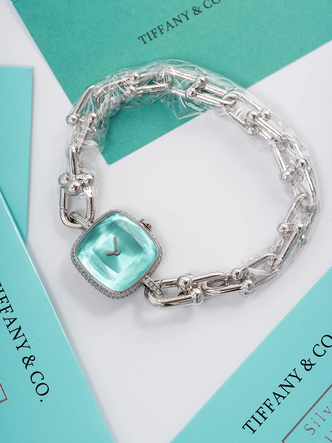 Women's Watches TIFFANY 17931637