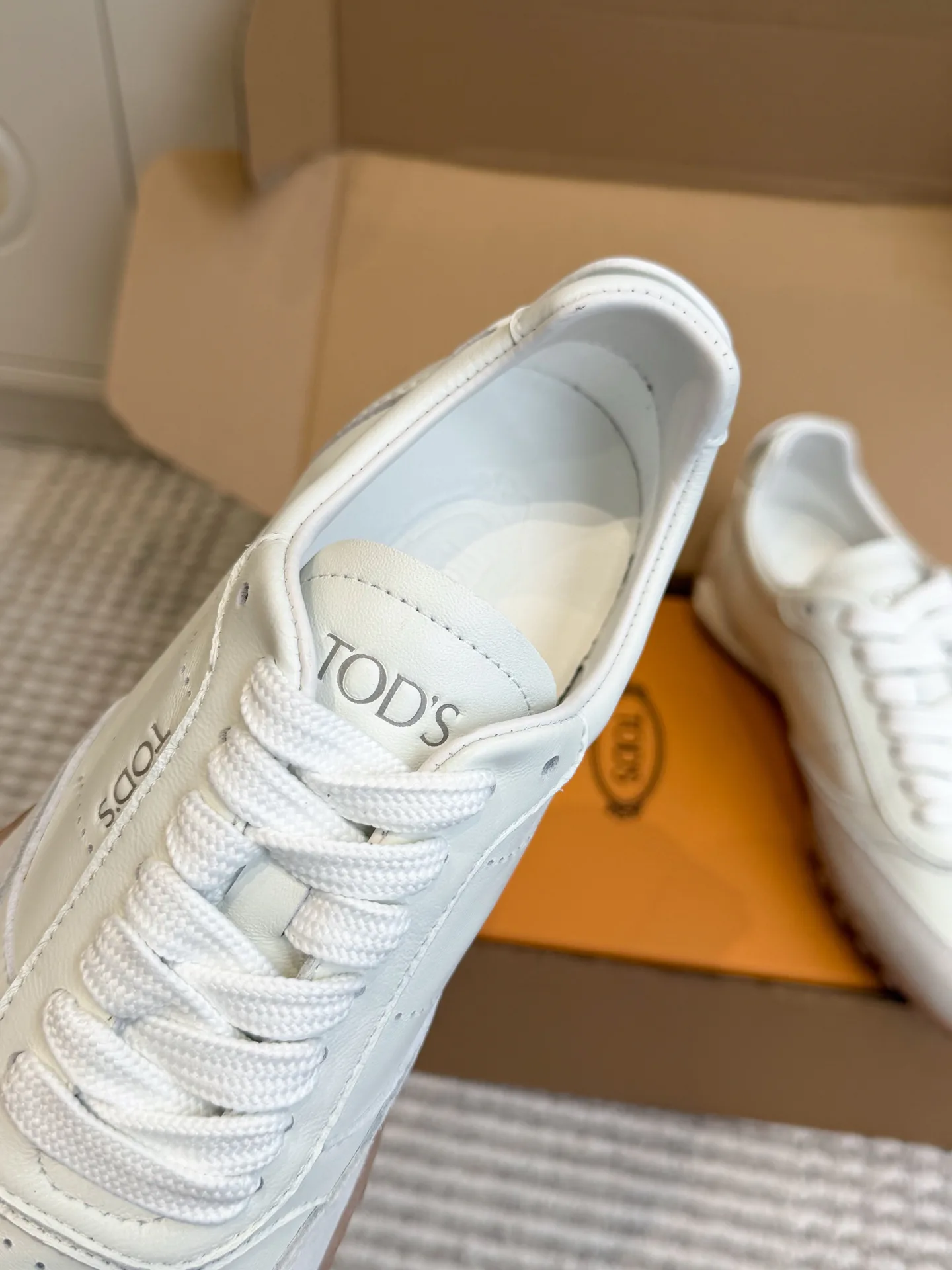 Women's Sneakers TOD'S 18360488