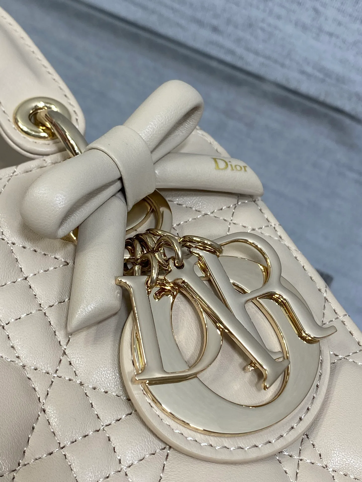 Women's Classic Handbags CHRISTIAN DIOR 17601503