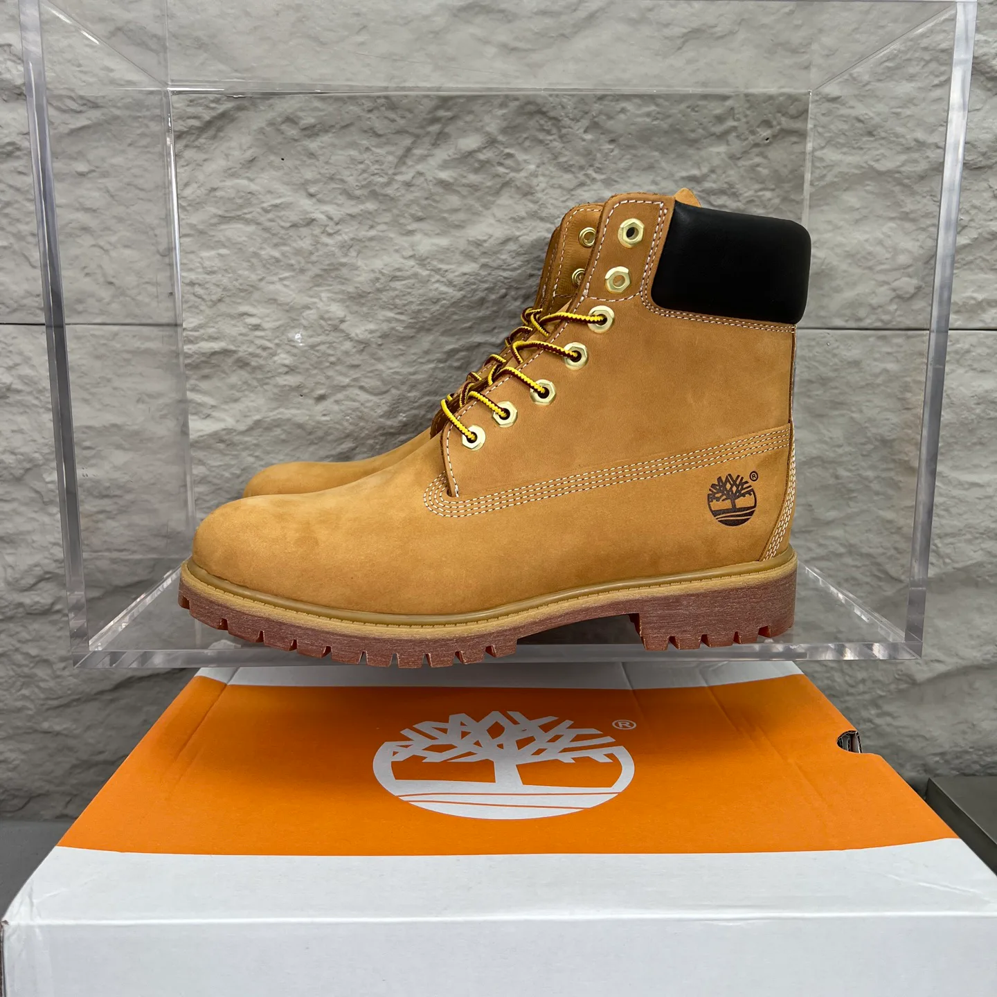 Women's Ankle Boots TIMBERLAND 18351627