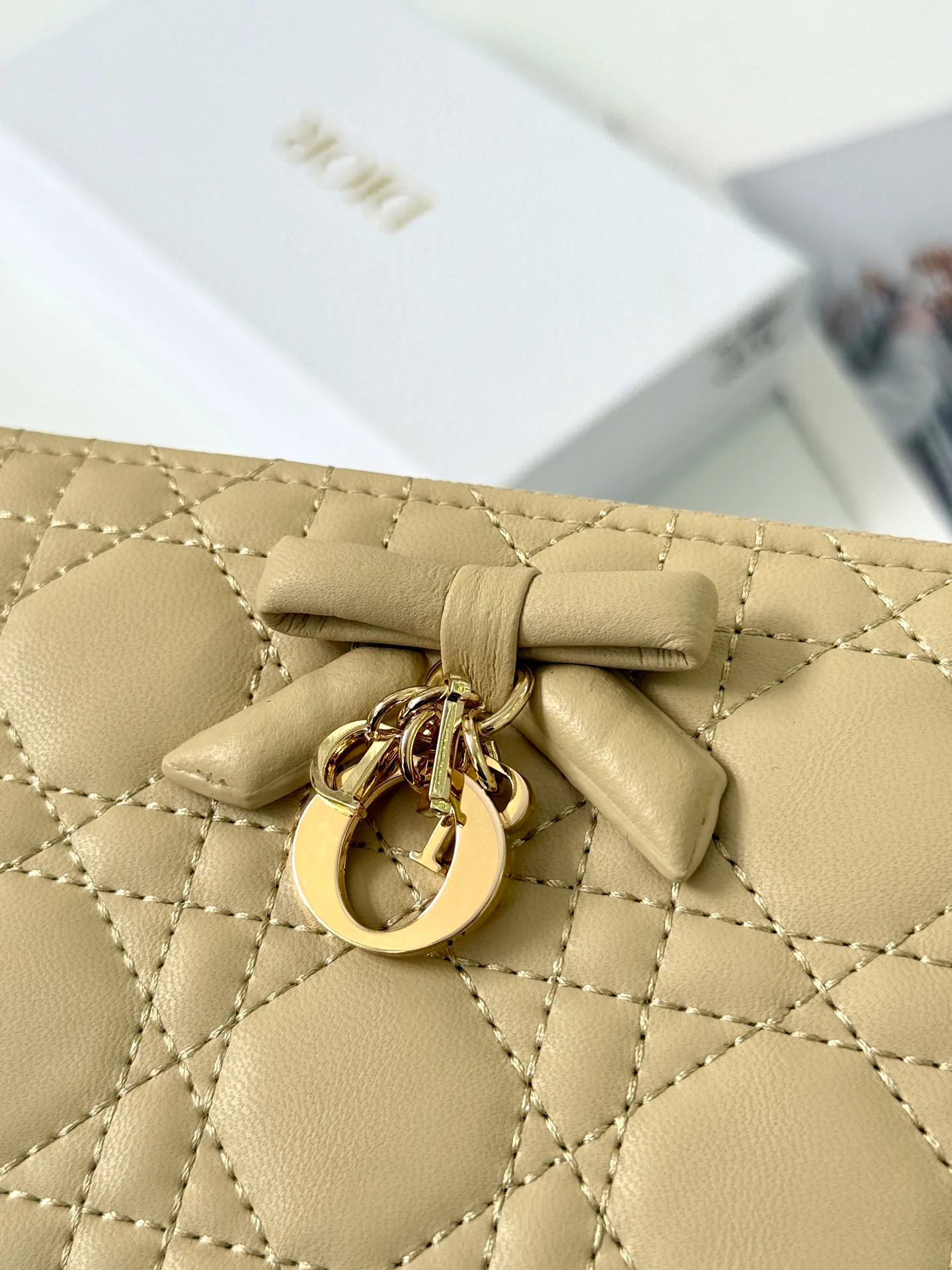 Women's Clutches CHRISTIAN DIOR 17447425