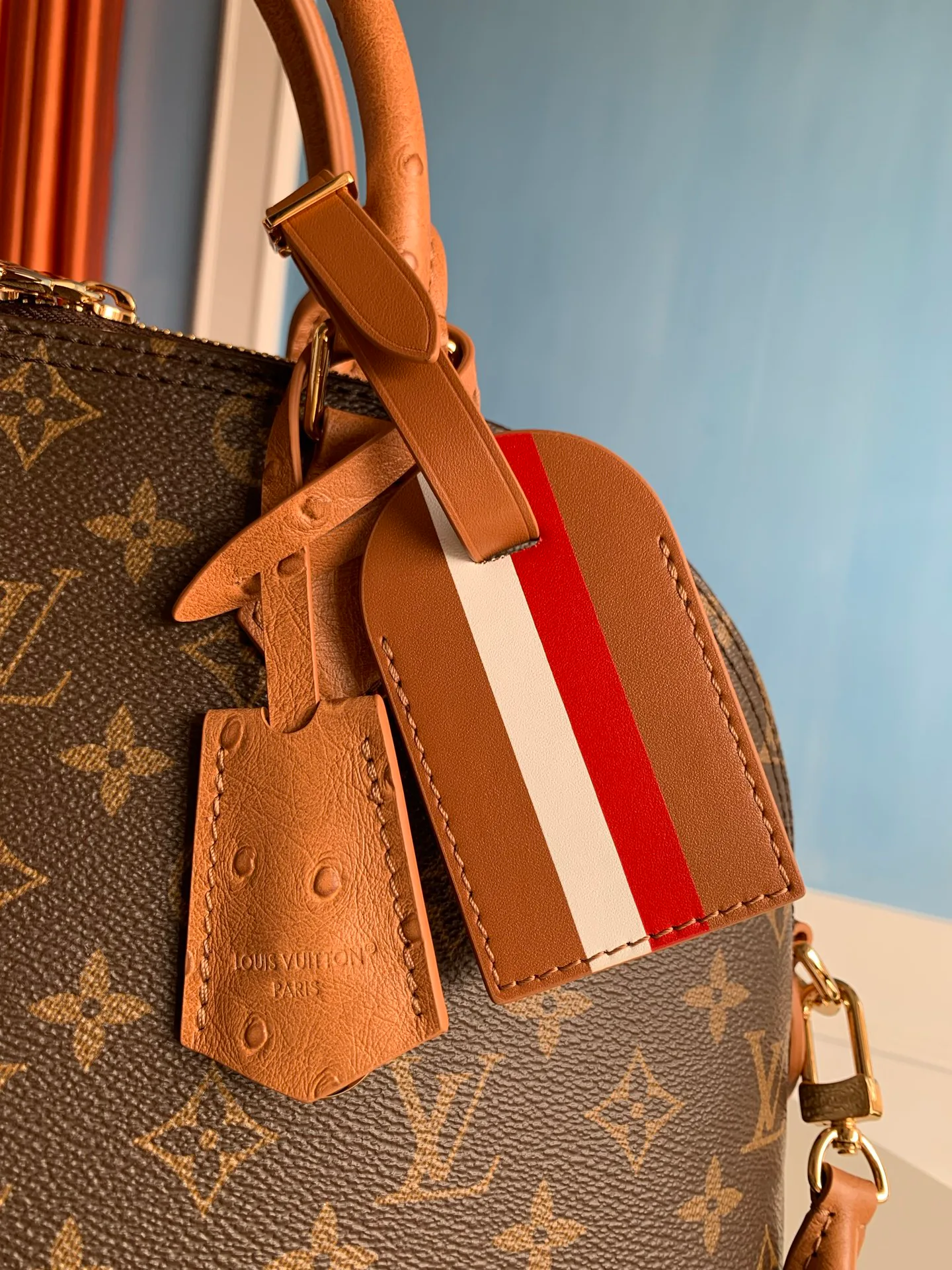 Women's Classic Handbags LOUIS VUITTON 17611238