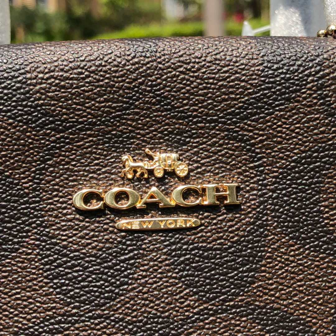 Women's Classic Handbags COACH 17961027