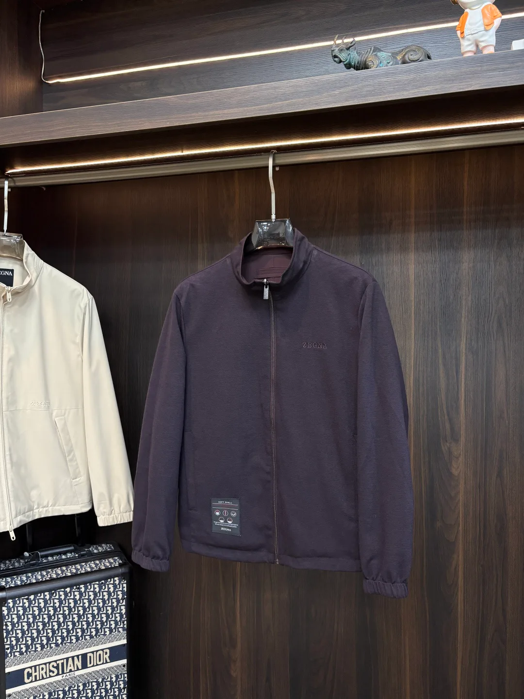 Men's Jackets And Down Jackets ZEGNA 17894404