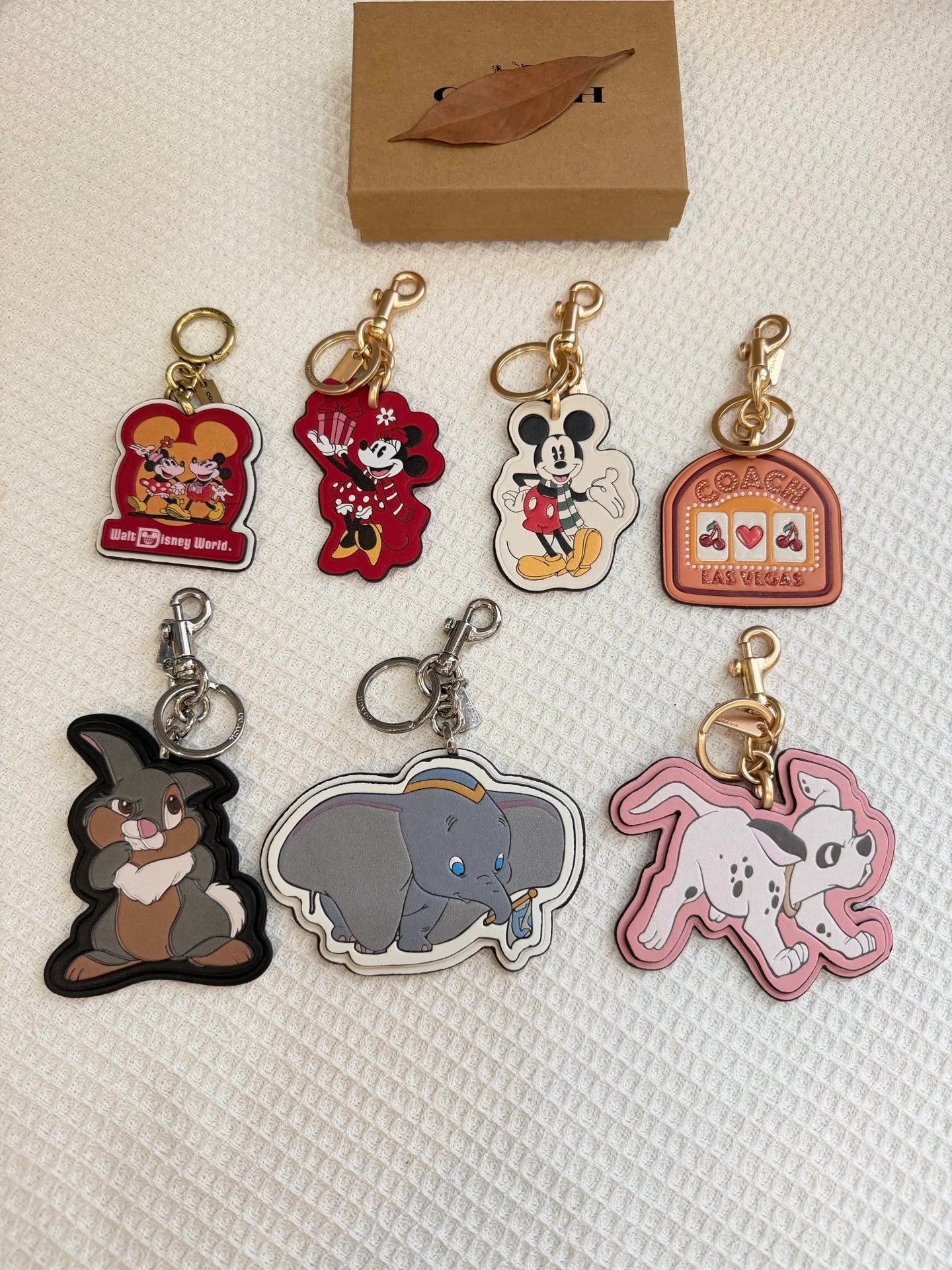 Key Cases COACH 17961101