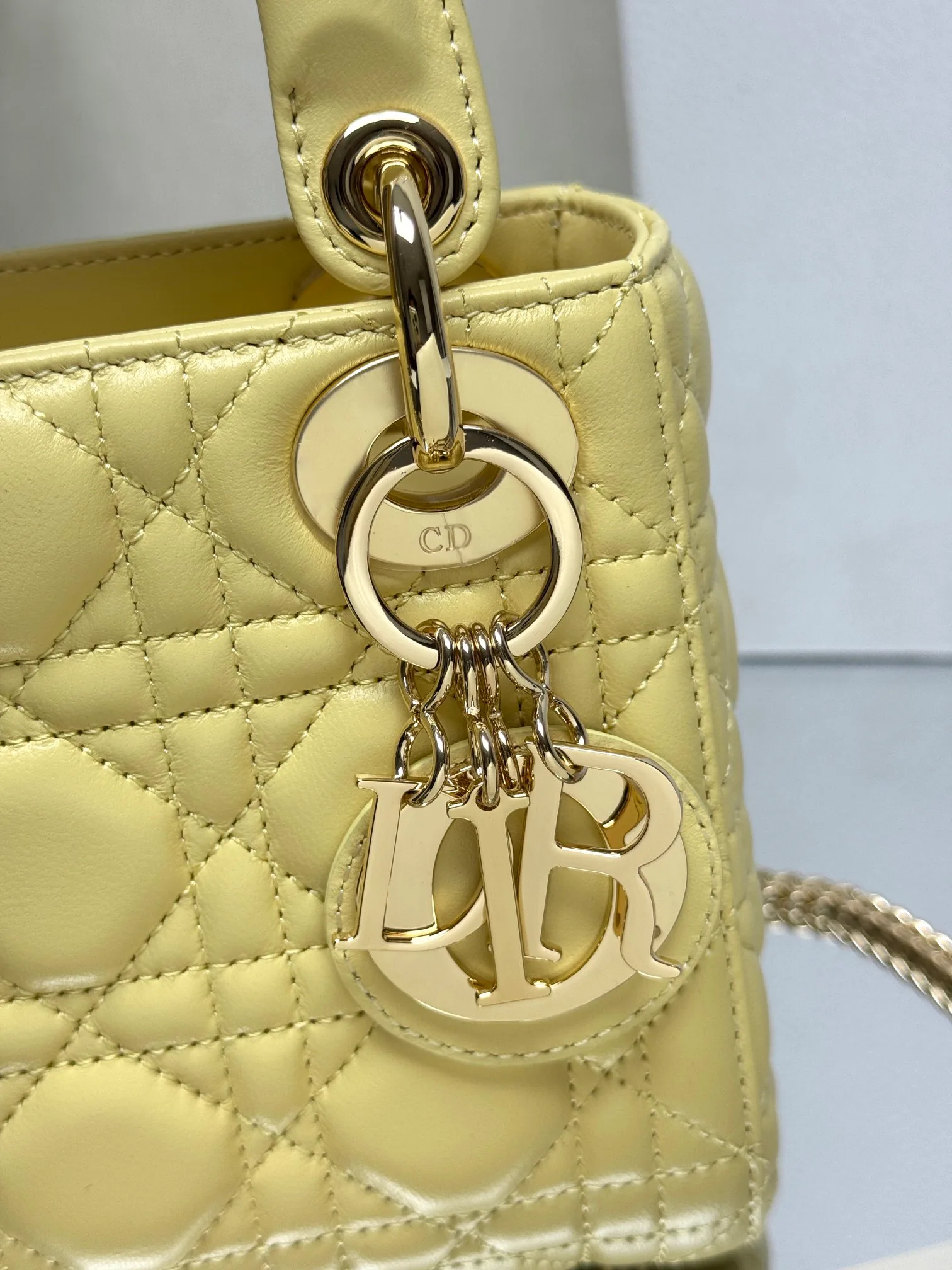 Women's Classic Handbags CHRISTIAN DIOR 17601467