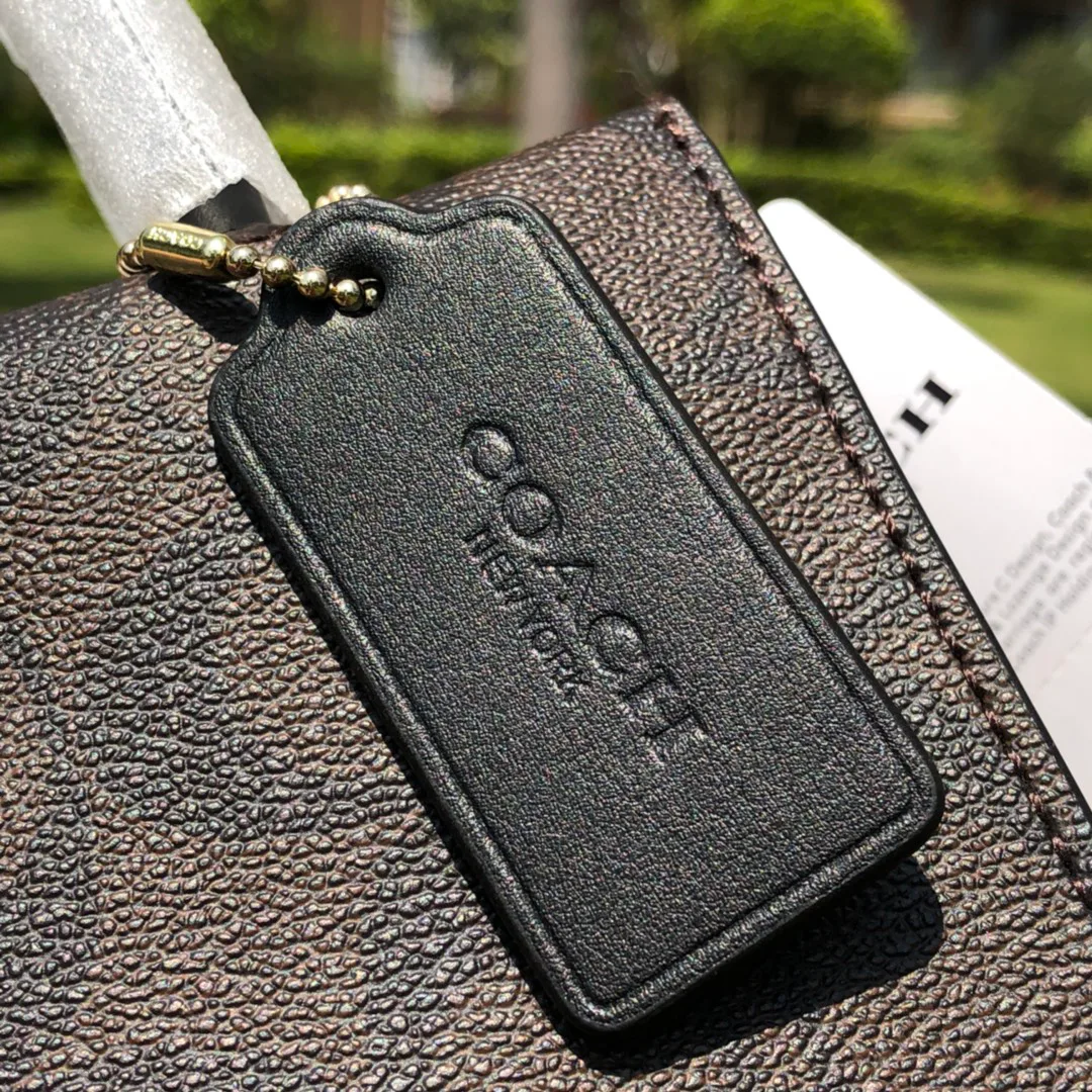 Women's Classic Handbags COACH 17961027