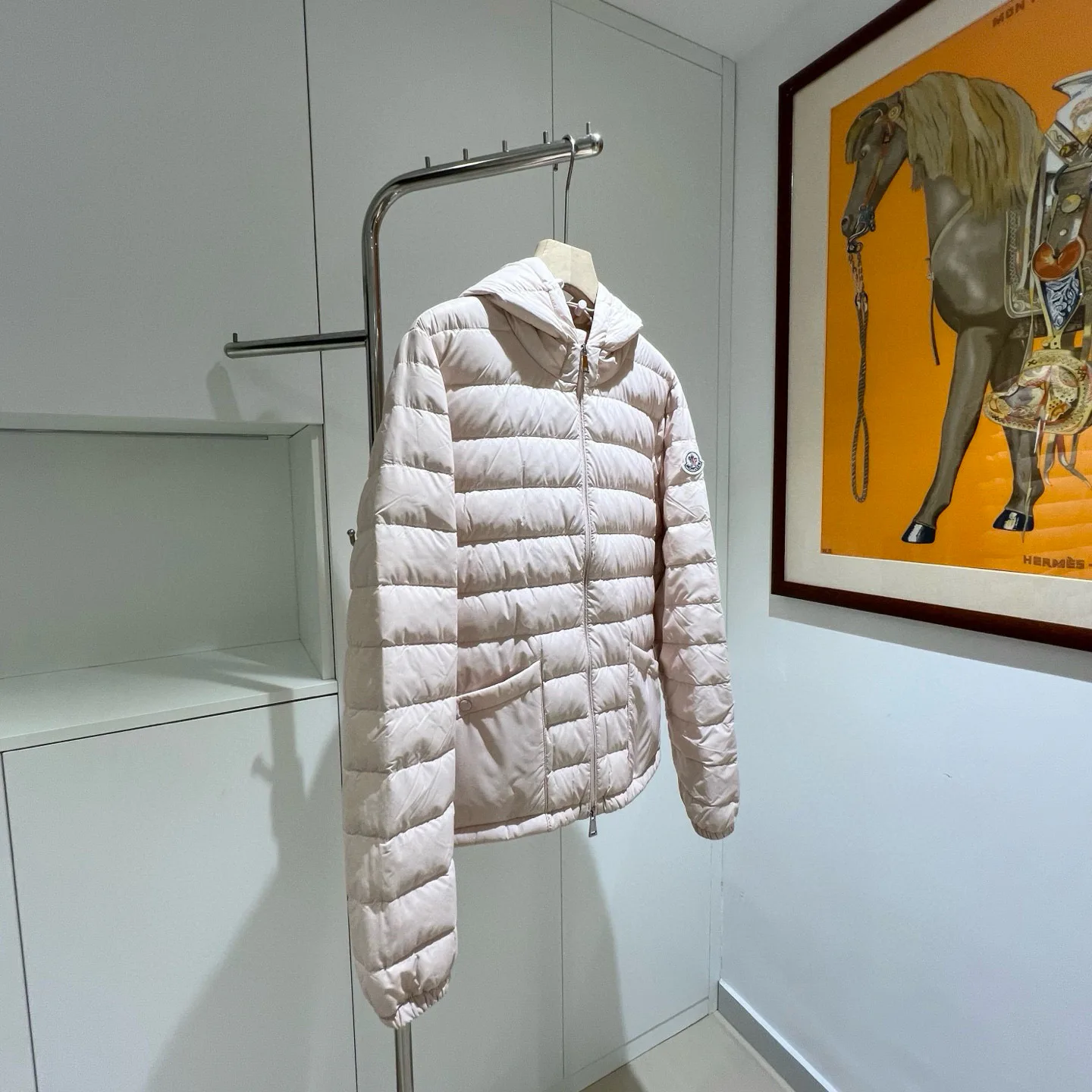 Women's Jackets And Down Jackets MONCLER 18180099