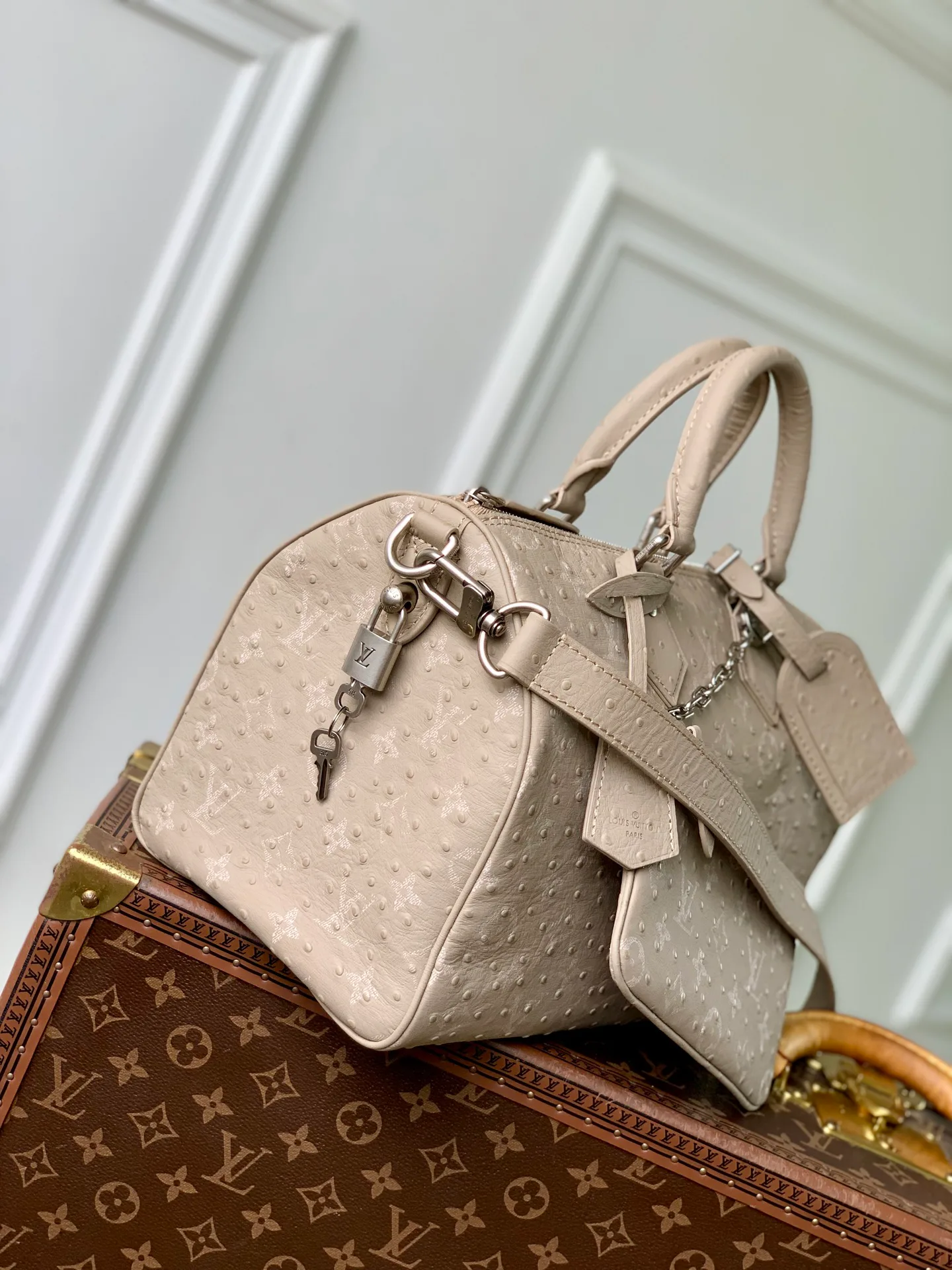 Women's Classic Handbags LOUIS VUITTON 18147441