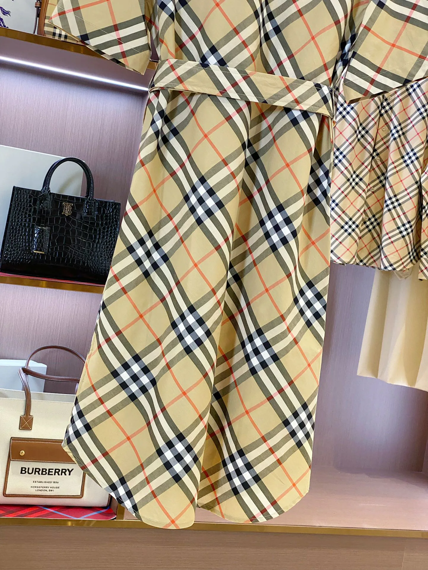 Women's Dresses BURBERRY 17361091