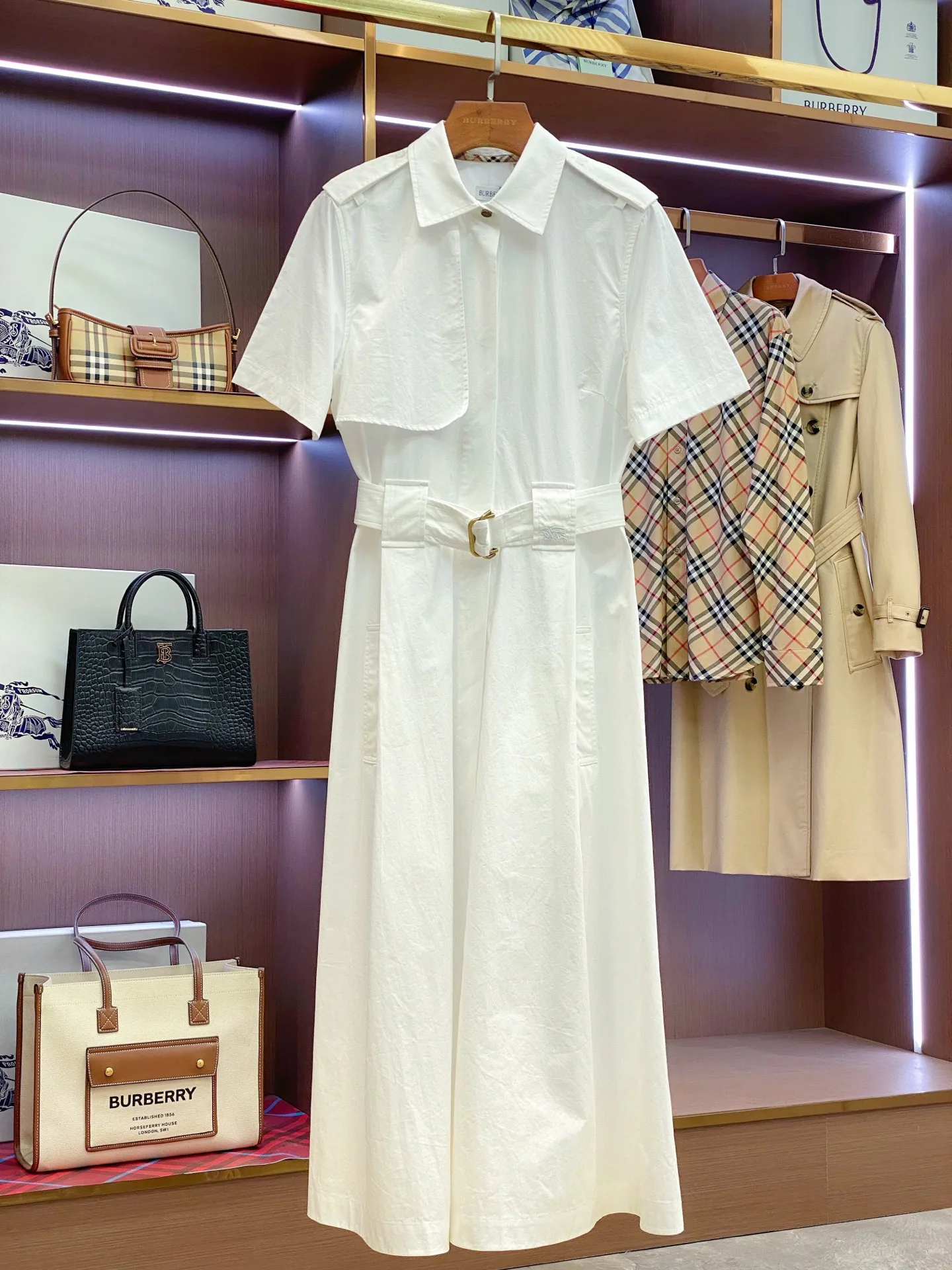 Women's Dresses BURBERRY 17361062