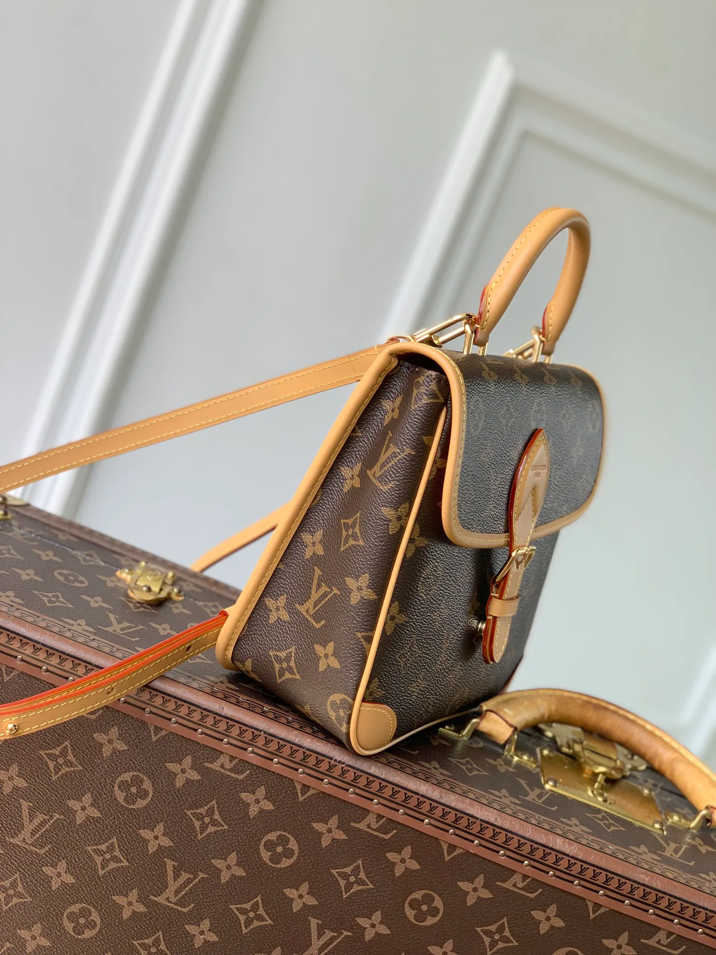 Women's Backpacks LOUIS VUITTON 18147465
