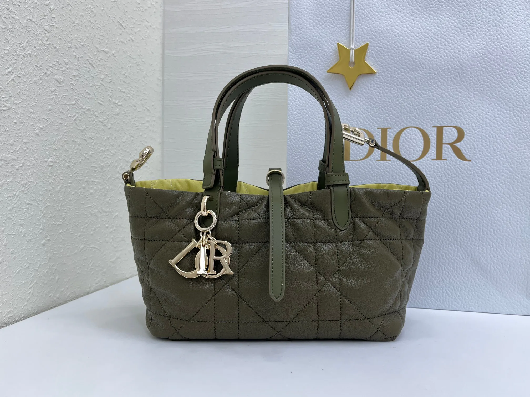 Women's Classic Handbags CHRISTIAN DIOR 17407083